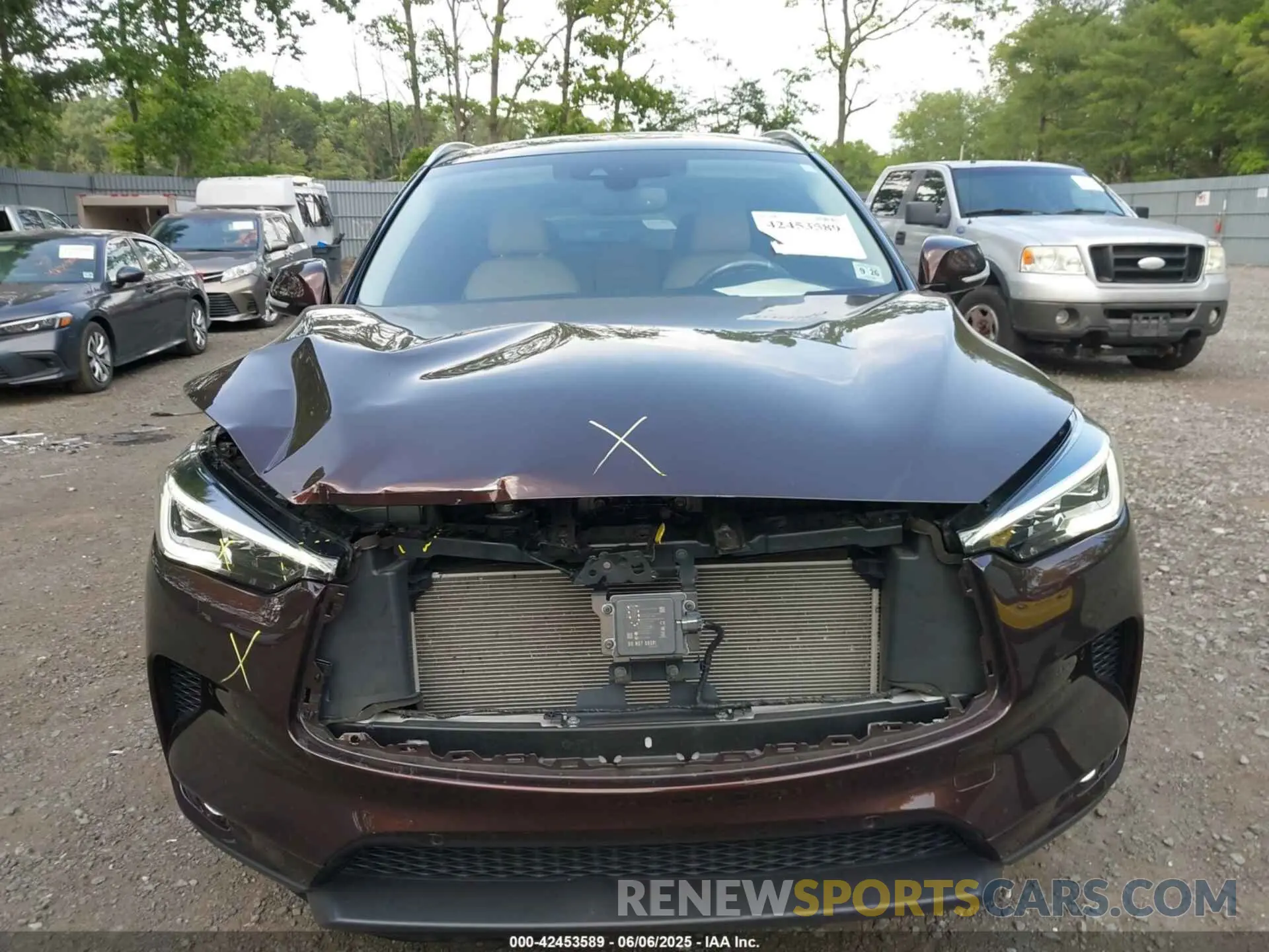 12 Photograph of a damaged car 3PCAJ5CA2MF110669 INFINITI QX50 2021