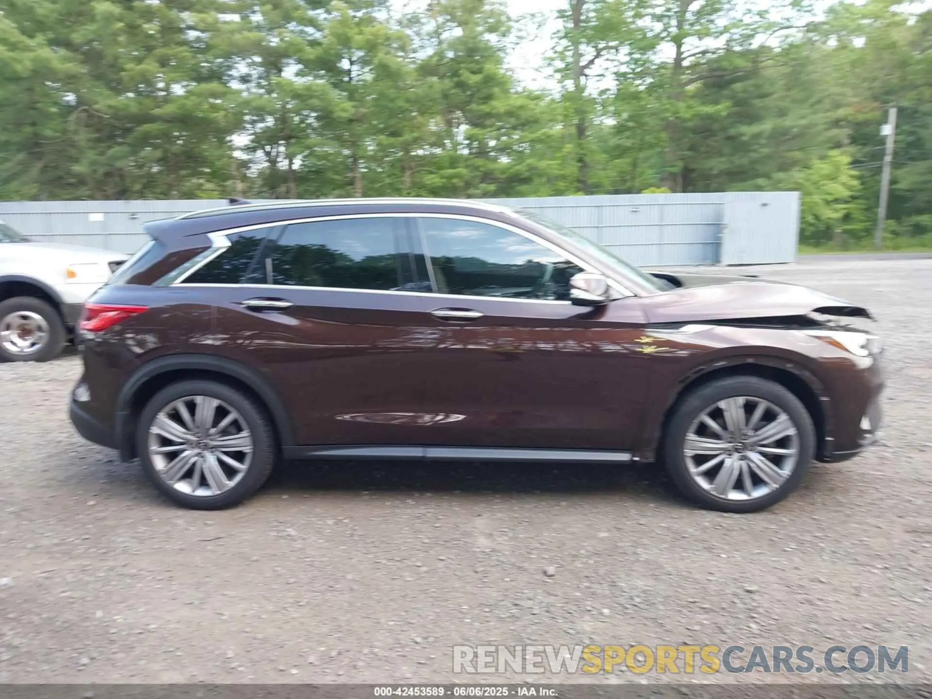 13 Photograph of a damaged car 3PCAJ5CA2MF110669 INFINITI QX50 2021