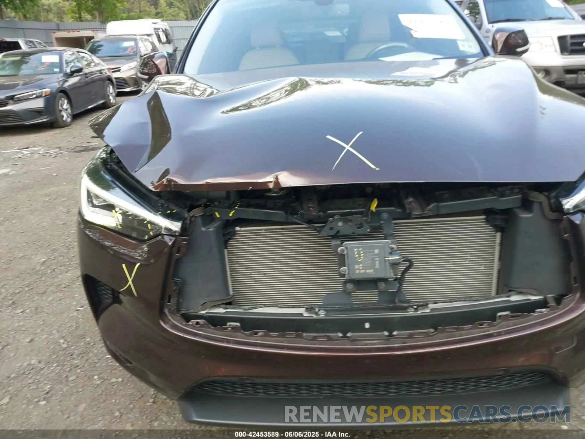 6 Photograph of a damaged car 3PCAJ5CA2MF110669 INFINITI QX50 2021