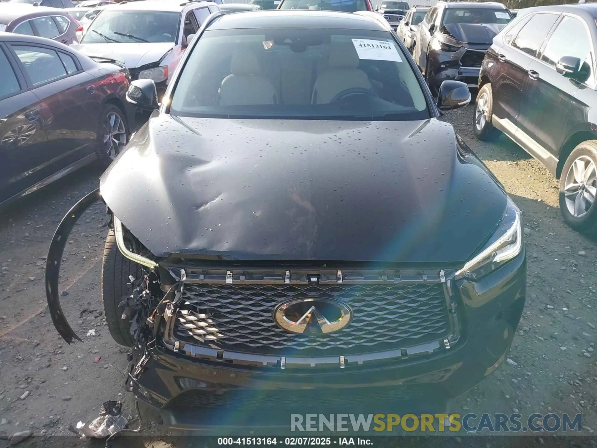12 Photograph of a damaged car 3PCAJ5CA9MF100592 INFINITI QX50 2021