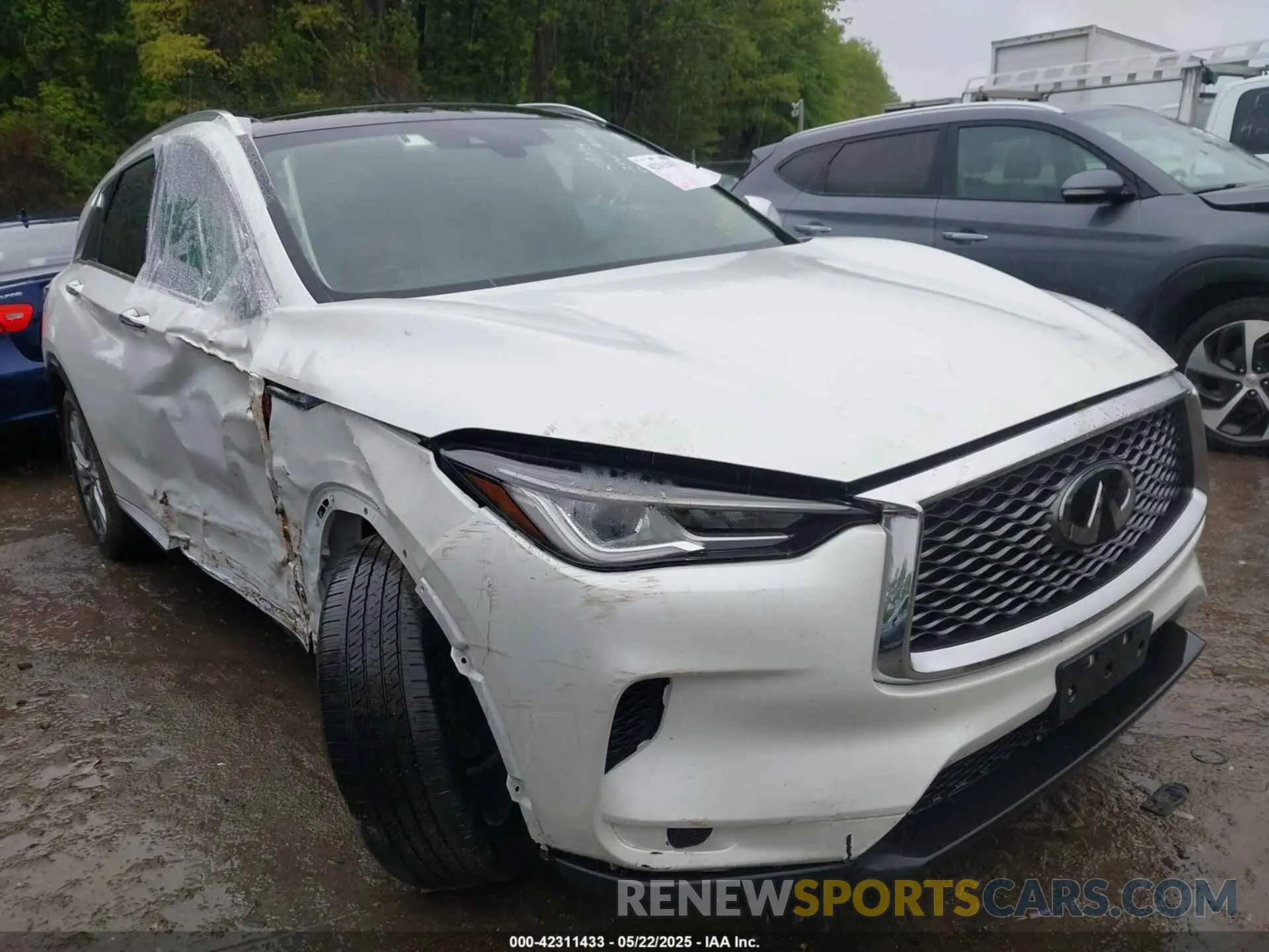 1 Photograph of a damaged car 3PCAJ5BA5PF116908 INFINITI QX50 2023