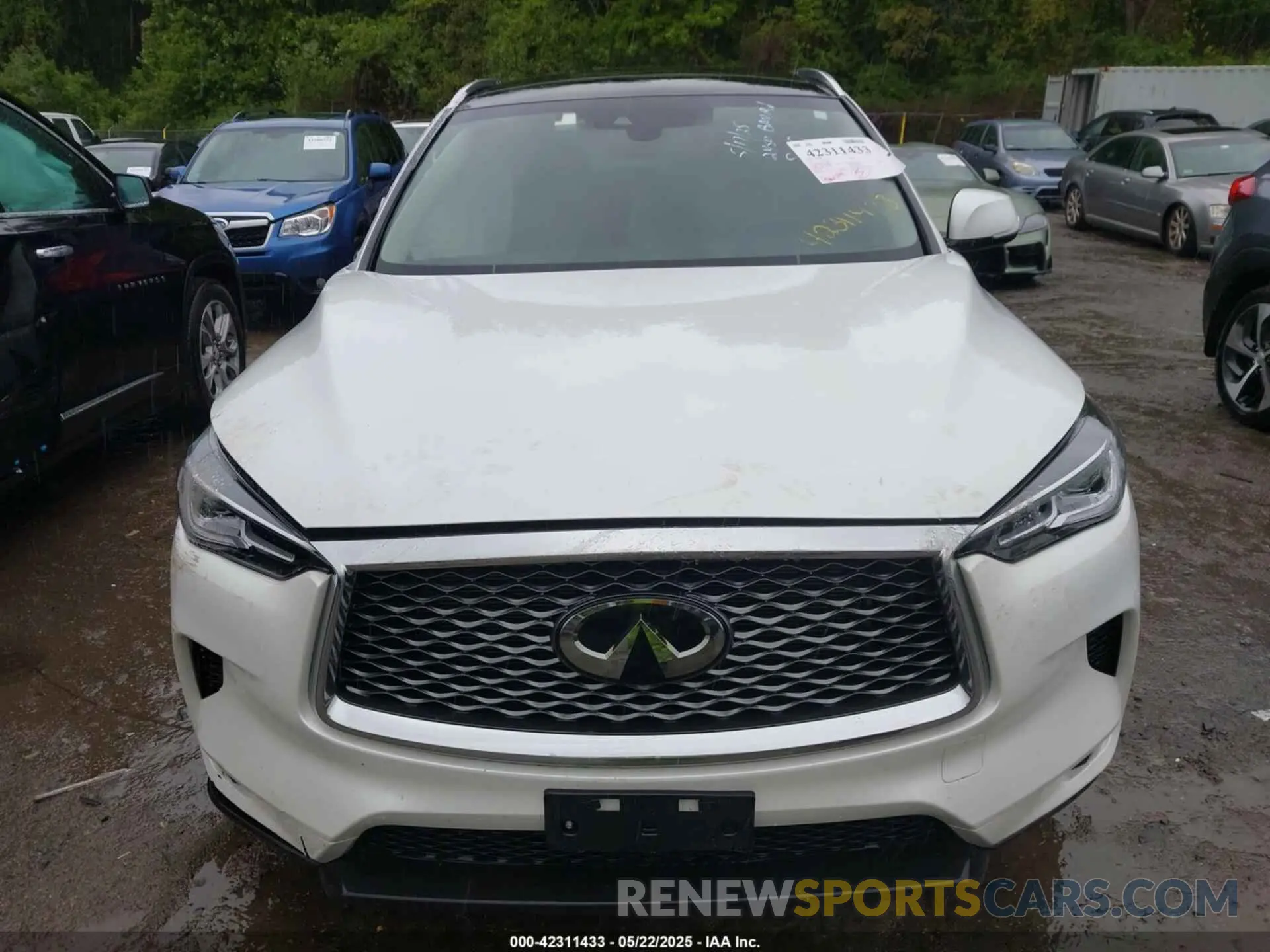 12 Photograph of a damaged car 3PCAJ5BA5PF116908 INFINITI QX50 2023