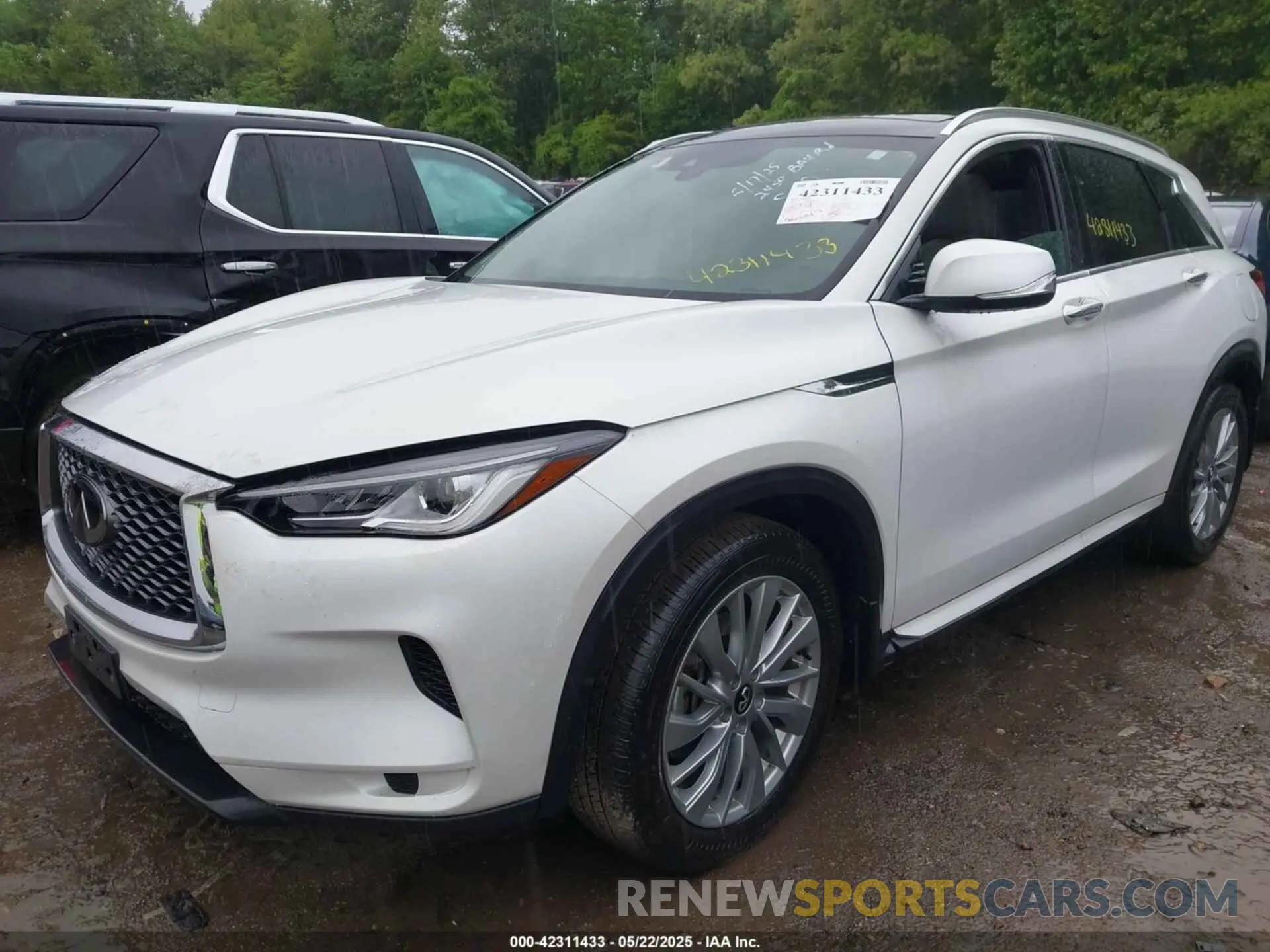 2 Photograph of a damaged car 3PCAJ5BA5PF116908 INFINITI QX50 2023