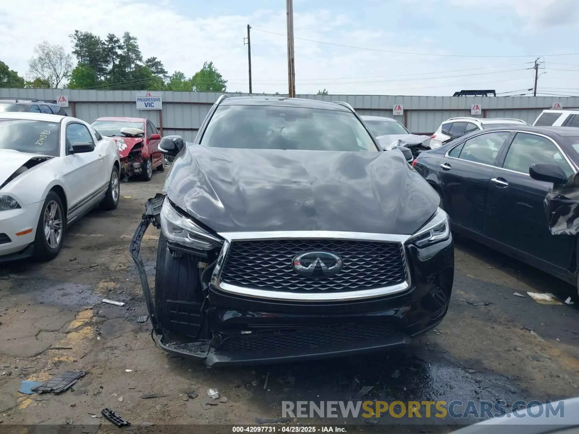 12 Photograph of a damaged car 3PCAJ5BA7PF116022 INFINITI QX50 2023