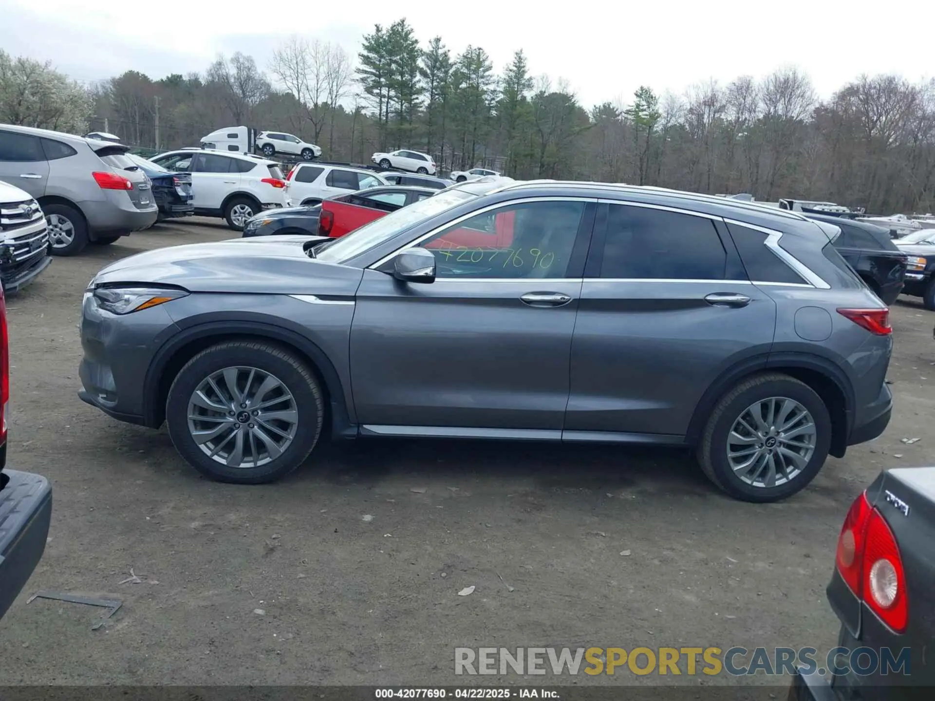 14 Photograph of a damaged car 3PCAJ5BB1PF108393 INFINITI QX50 2023
