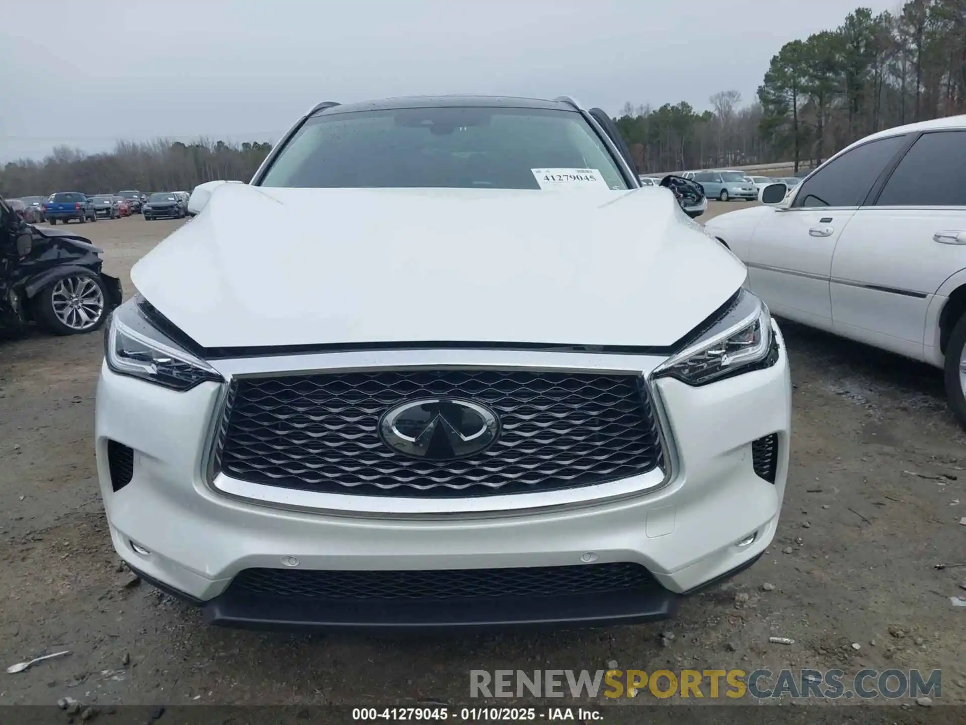 12 Photograph of a damaged car 3PCAJ5EB1PF120667 INFINITI QX50 2023