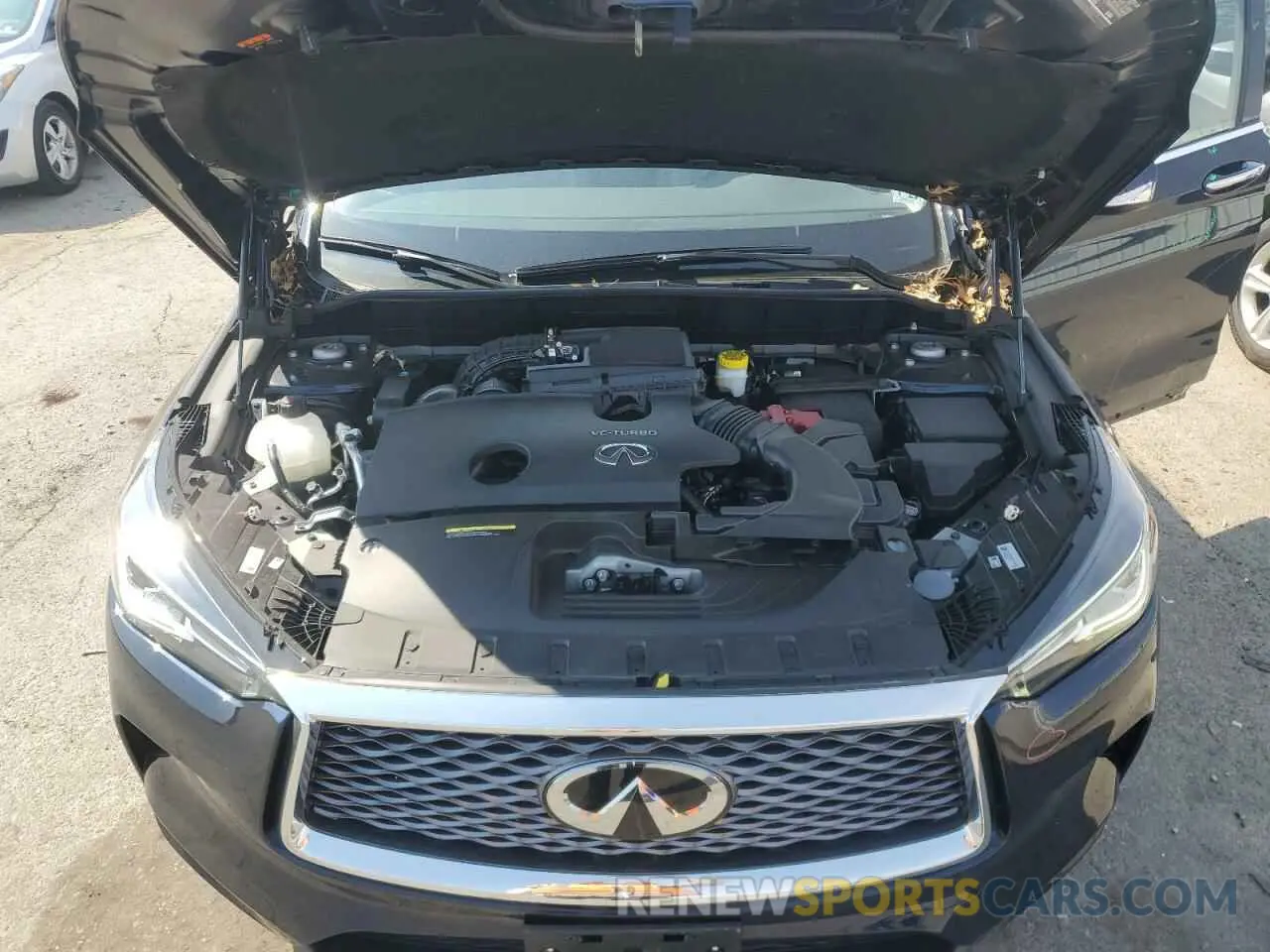 12 Photograph of a damaged car 3PCAJ5BB2RF114609 INFINITI QX50 2024