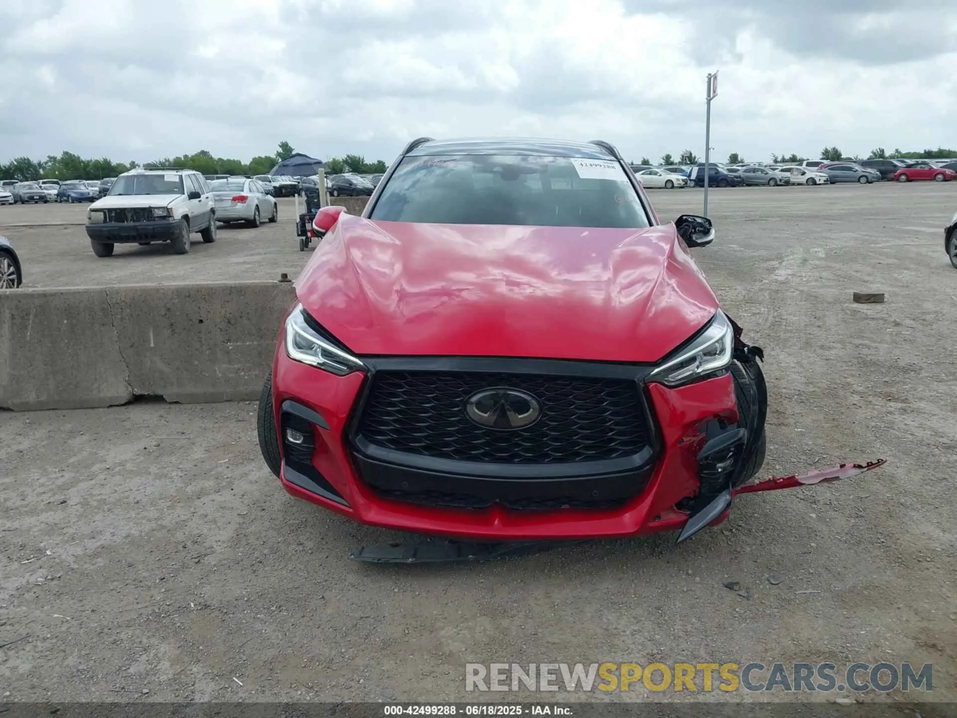 12 Photograph of a damaged car 3PCAJ5FA3RF112157 INFINITI QX50 2024