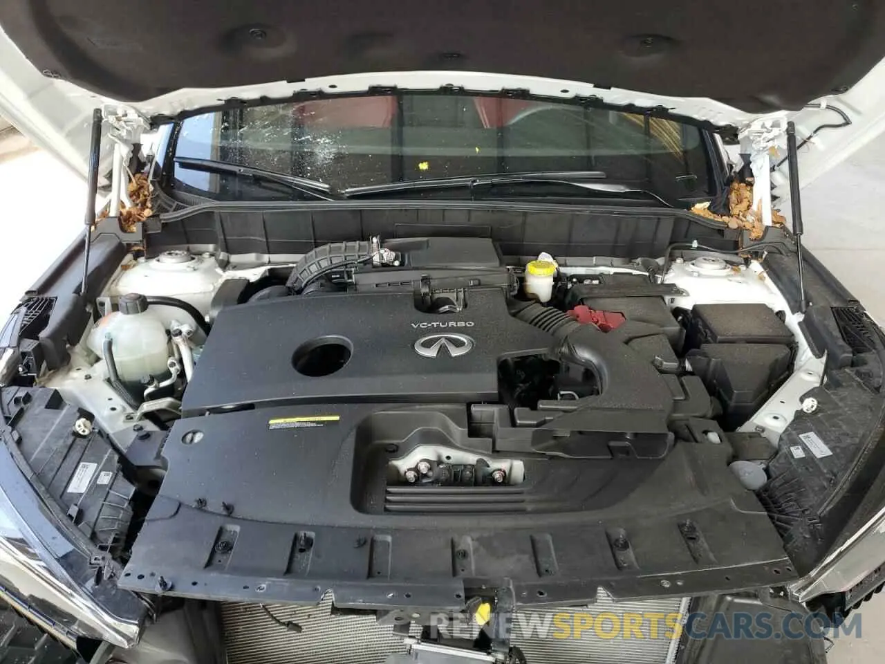 13 Photograph of a damaged car 3PCAJ5FAXPF117708 INFINITI QX50 SPORT 2023