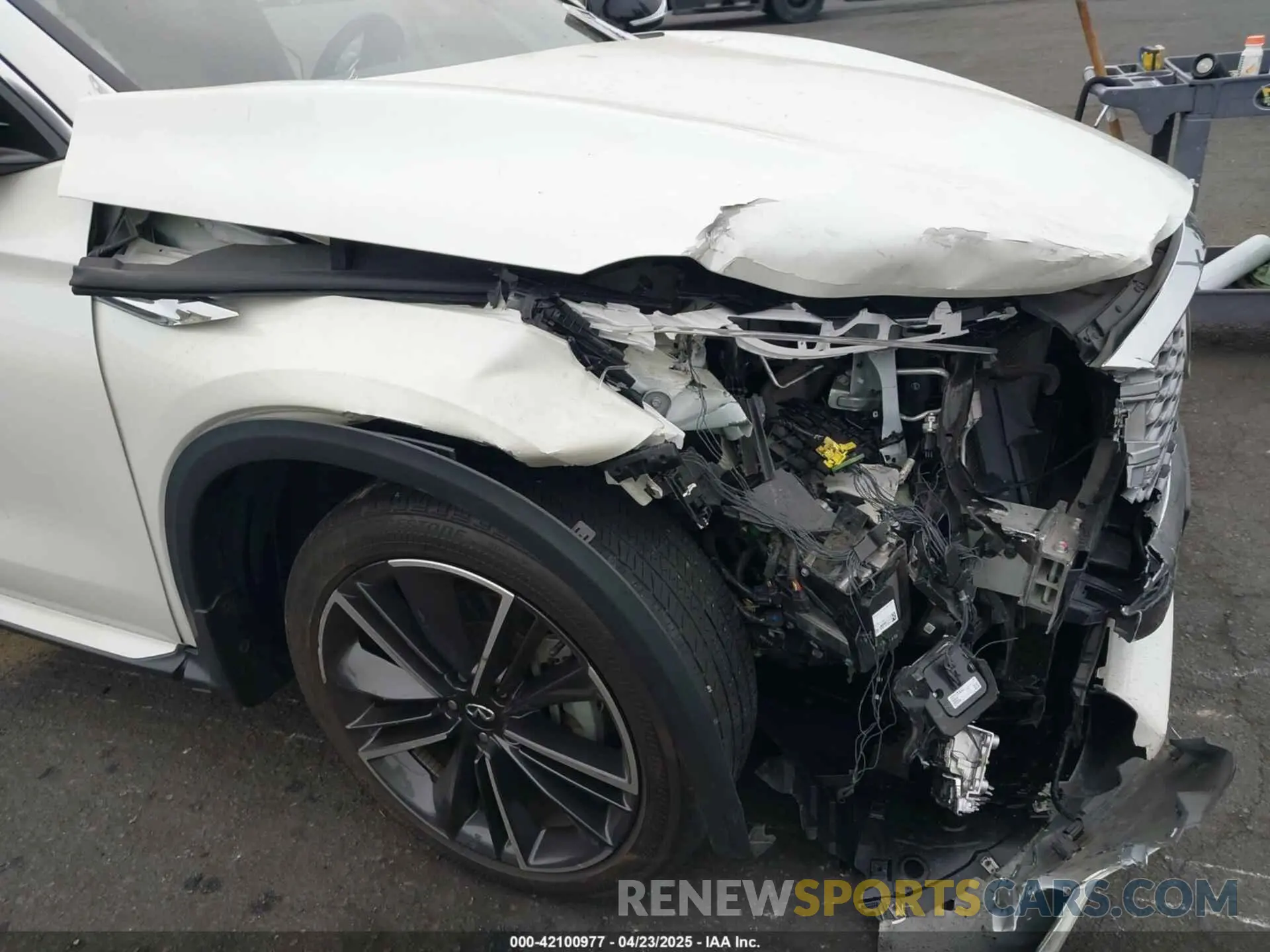 19 Photograph of a damaged car 3PCAJ5K3XNF101092 INFINITI QX55 2022