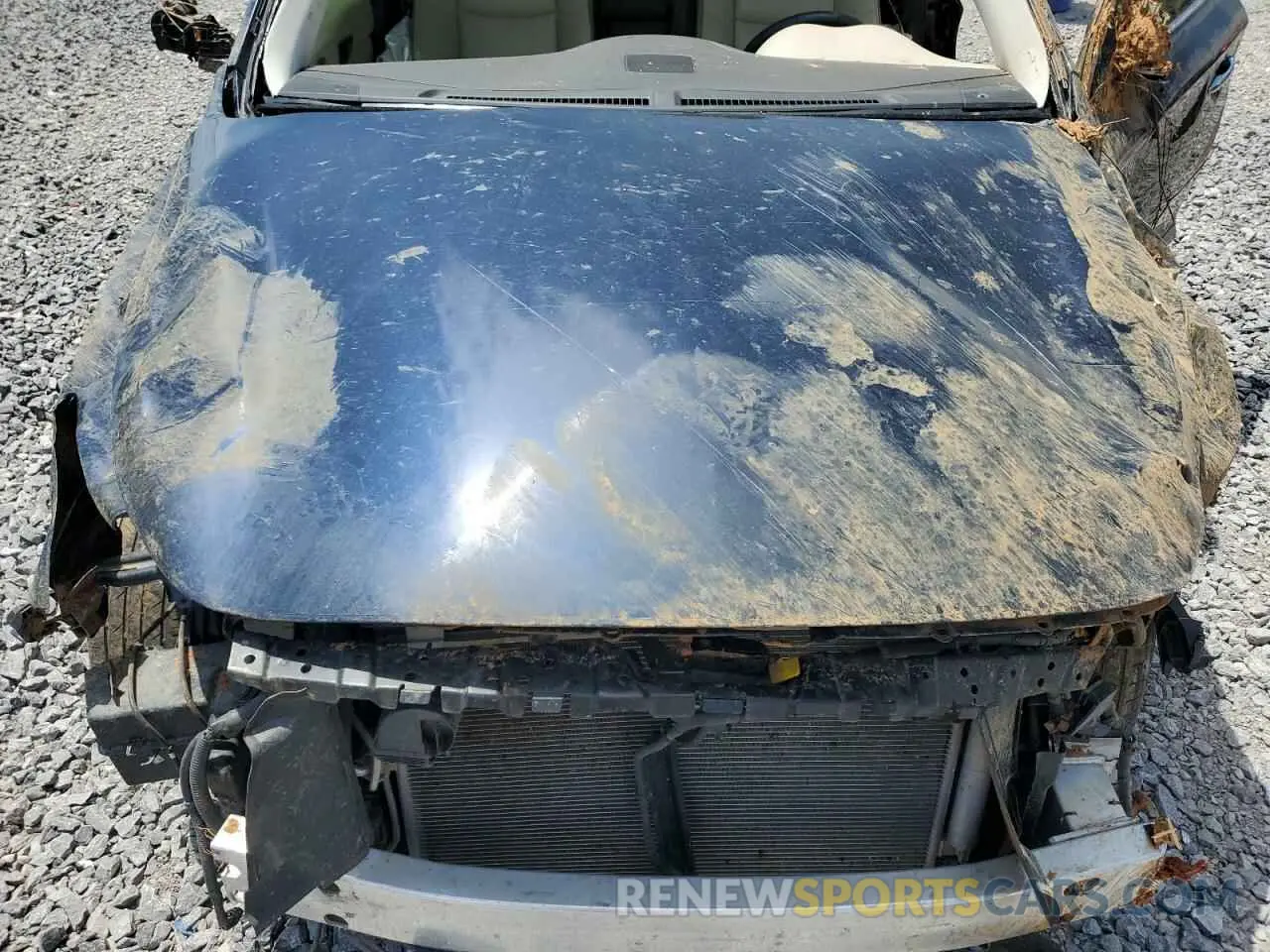 12 Photograph of a damaged car 5N1DL0MM8KC557693 INFINITI QX60 2019