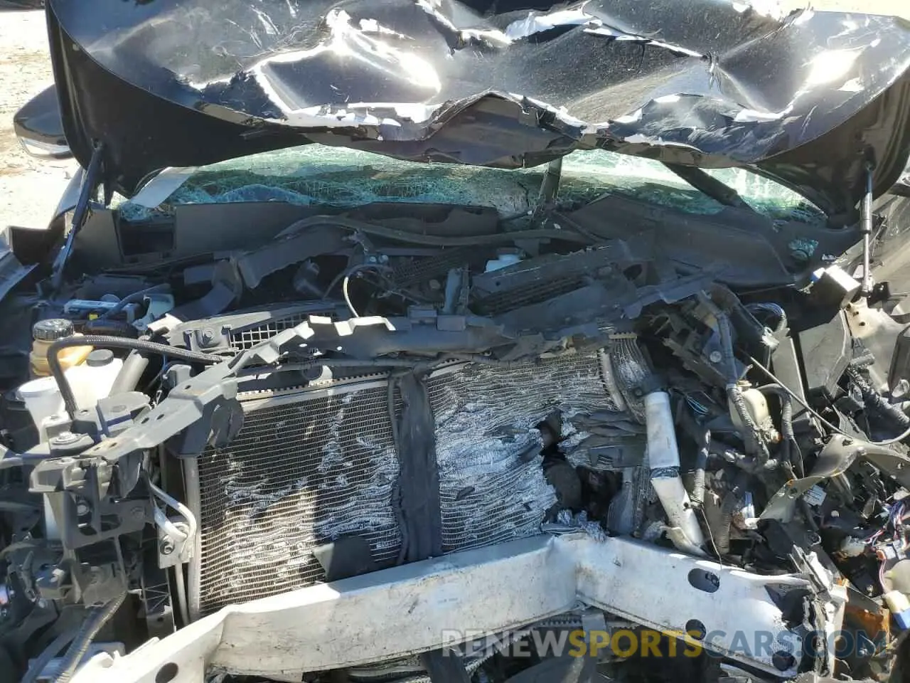 13 Photograph of a damaged car 5N1DL0MN0KC511218 INFINITI QX60 2019