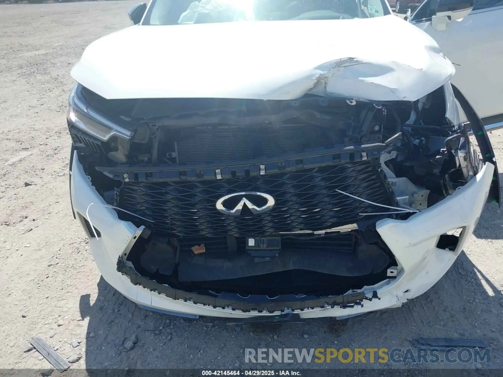 6 Photograph of a damaged car 5N1DL1GS1PC349100 INFINITI QX60 2023