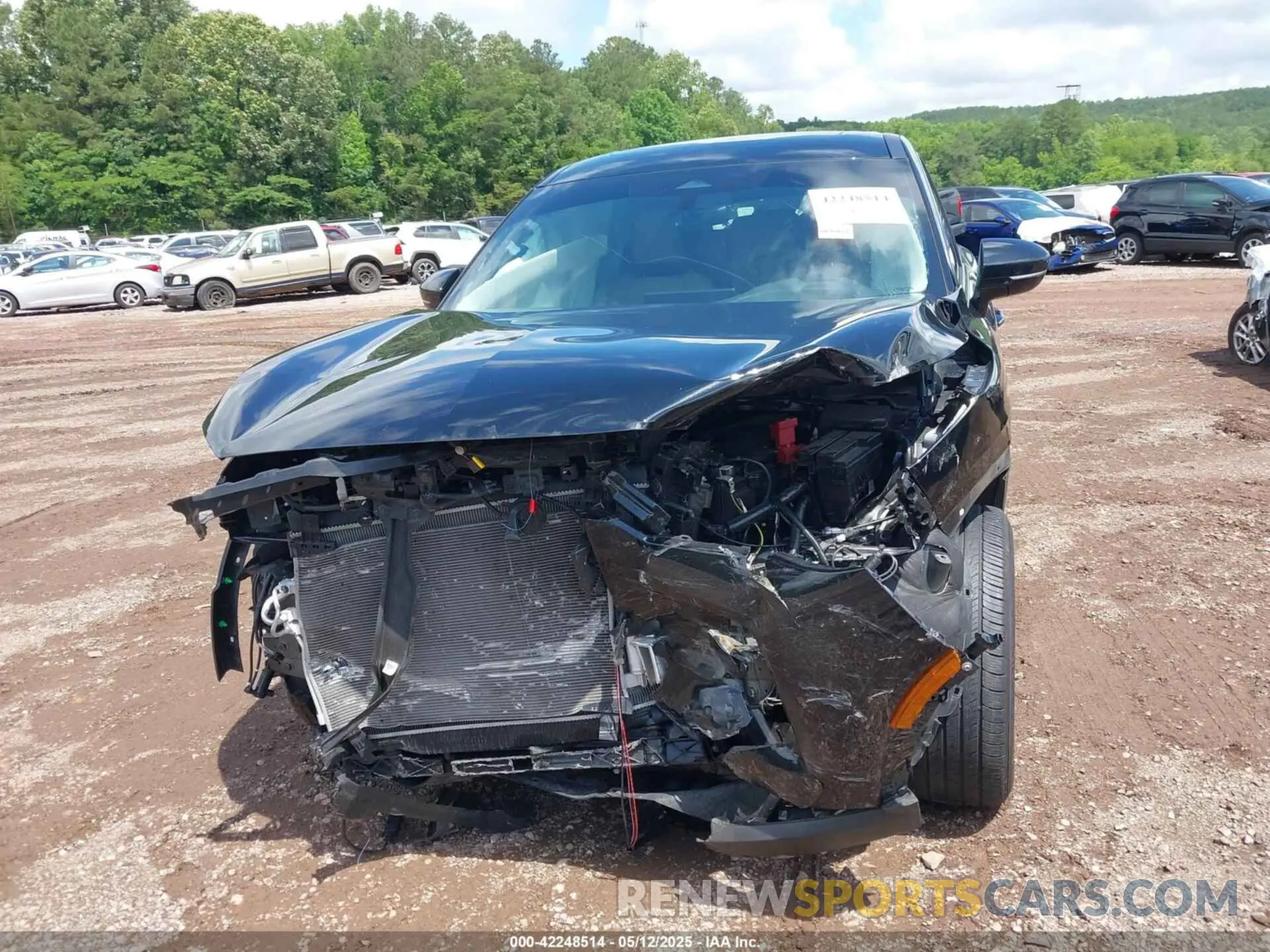 12 Photograph of a damaged car 5N1DL1ER3RC338022 INFINITI QX60 2024