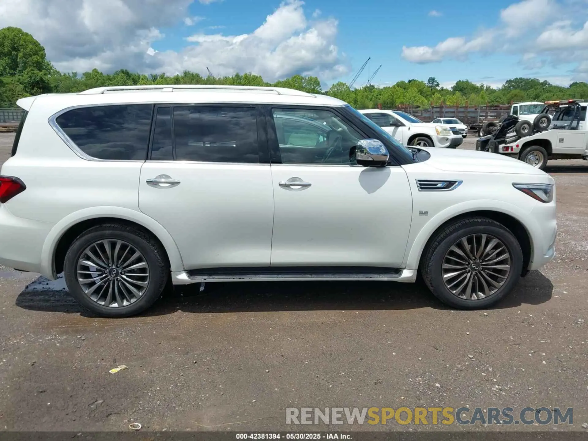 13 Photograph of a damaged car JN8AZ2NC1K9460151 INFINITI QX80 2019