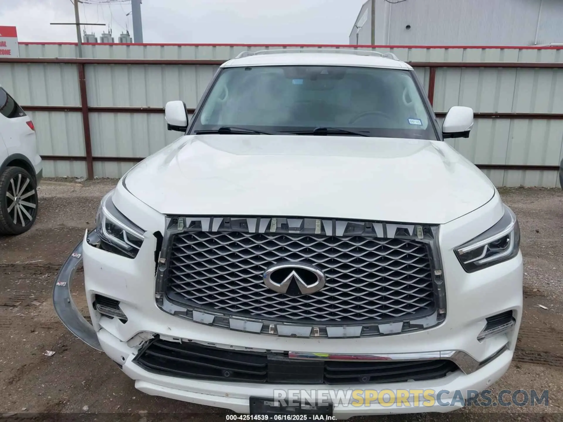 12 Photograph of a damaged car JN8AZ2ND2K9850281 INFINITI QX80 2019