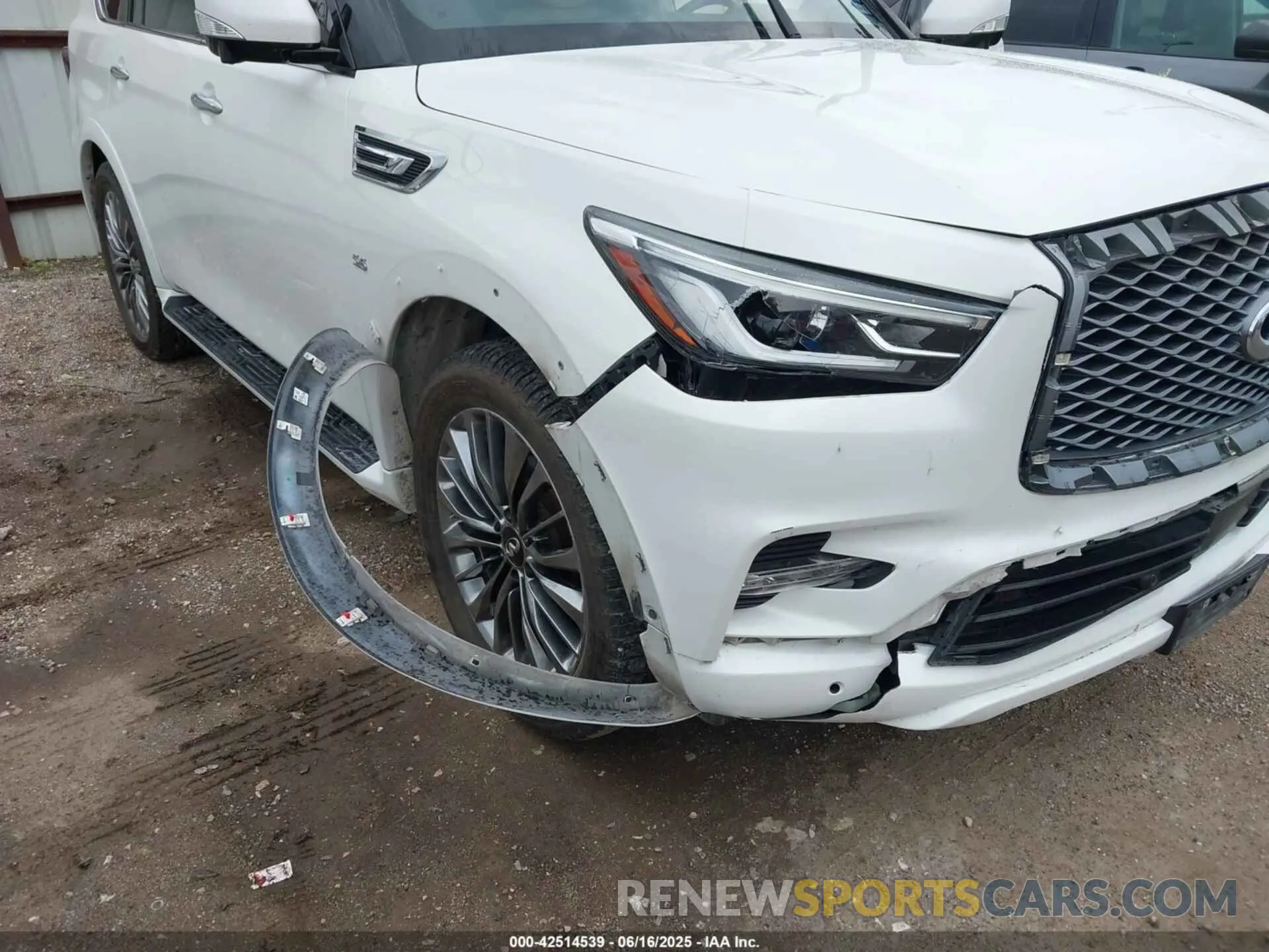 6 Photograph of a damaged car JN8AZ2ND2K9850281 INFINITI QX80 2019