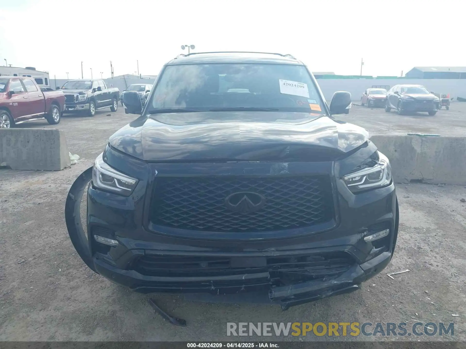 12 Photograph of a damaged car JN8AZ2NE8K9236926 INFINITI QX80 2019