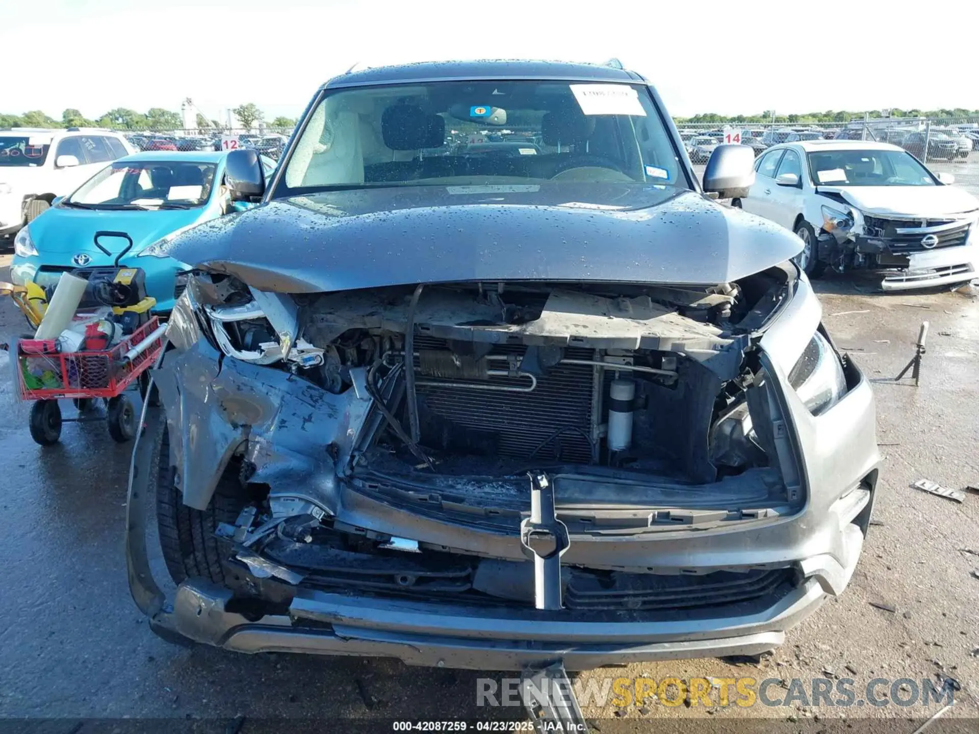12 Photograph of a damaged car JN8AZ2NE9K9236577 INFINITI QX80 2019