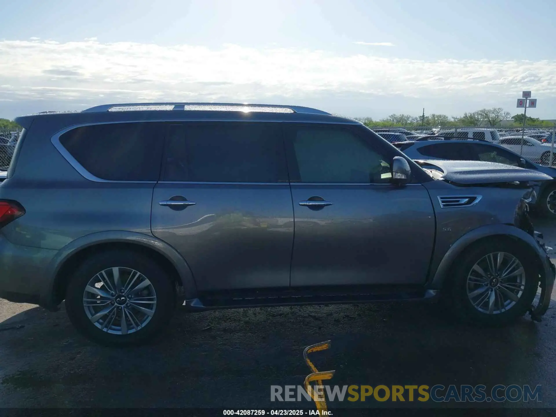 13 Photograph of a damaged car JN8AZ2NE9K9236577 INFINITI QX80 2019