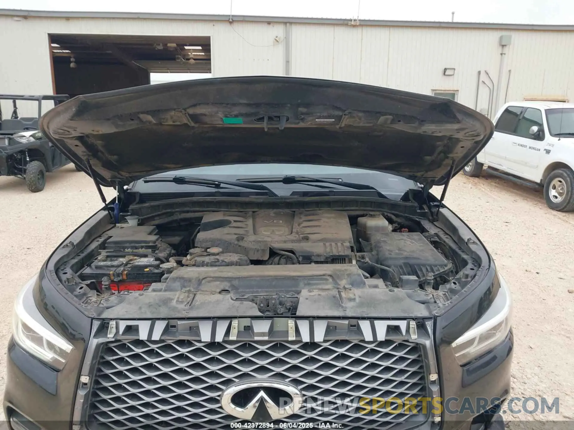 10 Photograph of a damaged car JN8AZ2NEXK9232070 INFINITI QX80 2019