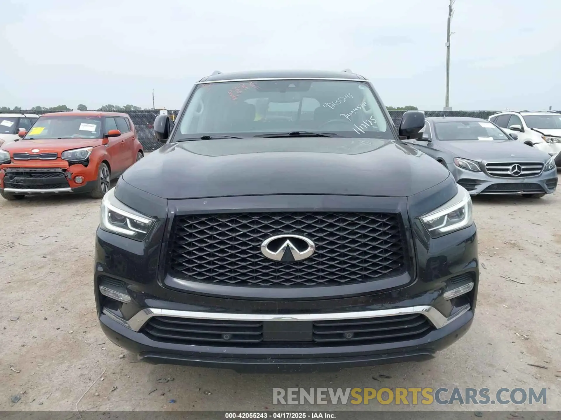 12 Photograph of a damaged car JN8AZ2NF1K9680402 INFINITI QX80 2019