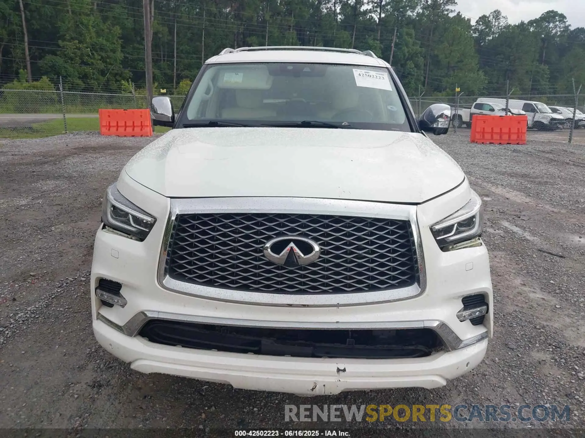 12 Photograph of a damaged car JN8AZ2NFXK9688644 INFINITI QX80 2019