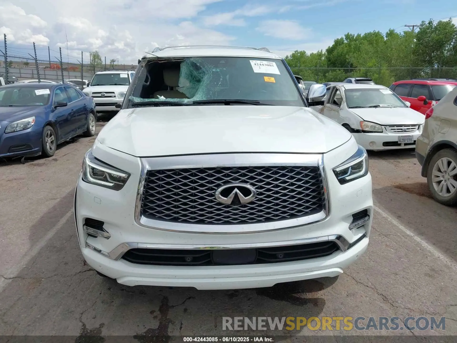 12 Photograph of a damaged car JN8AZ2BE7M9273506 INFINITI QX80 2021