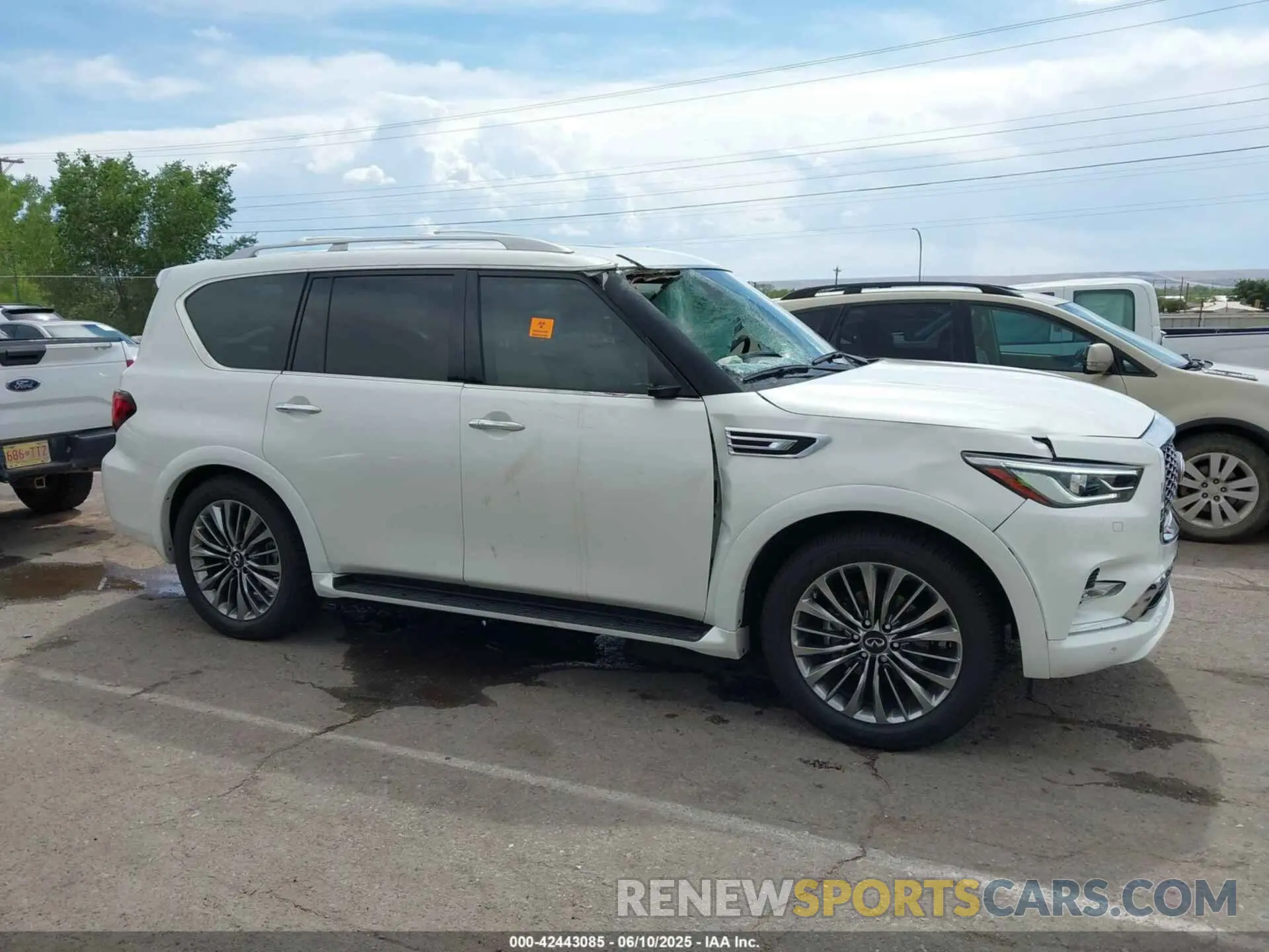 13 Photograph of a damaged car JN8AZ2BE7M9273506 INFINITI QX80 2021