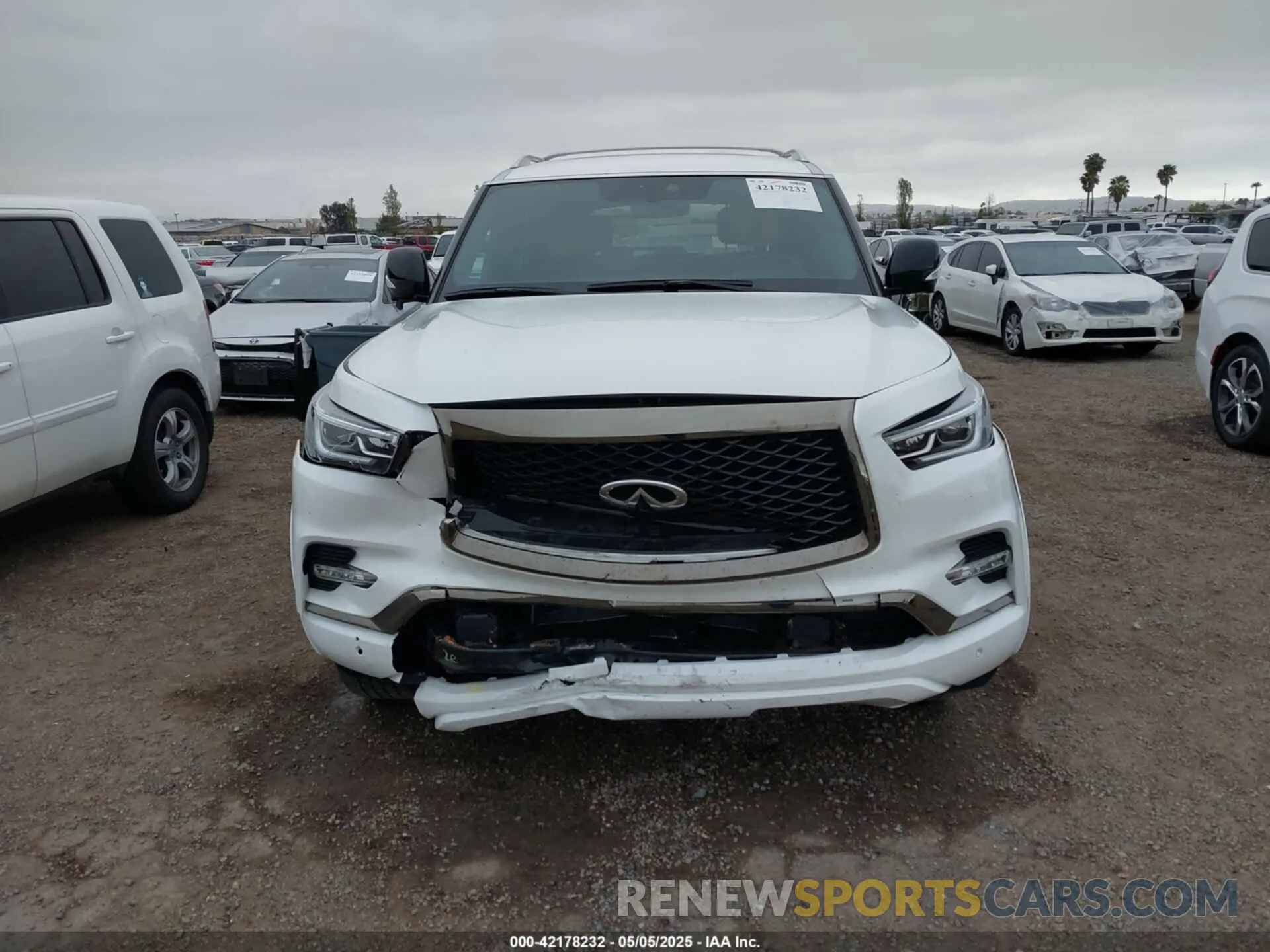 13 Photograph of a damaged car JN8AZ2BE9R9327413 INFINITI QX80 2024