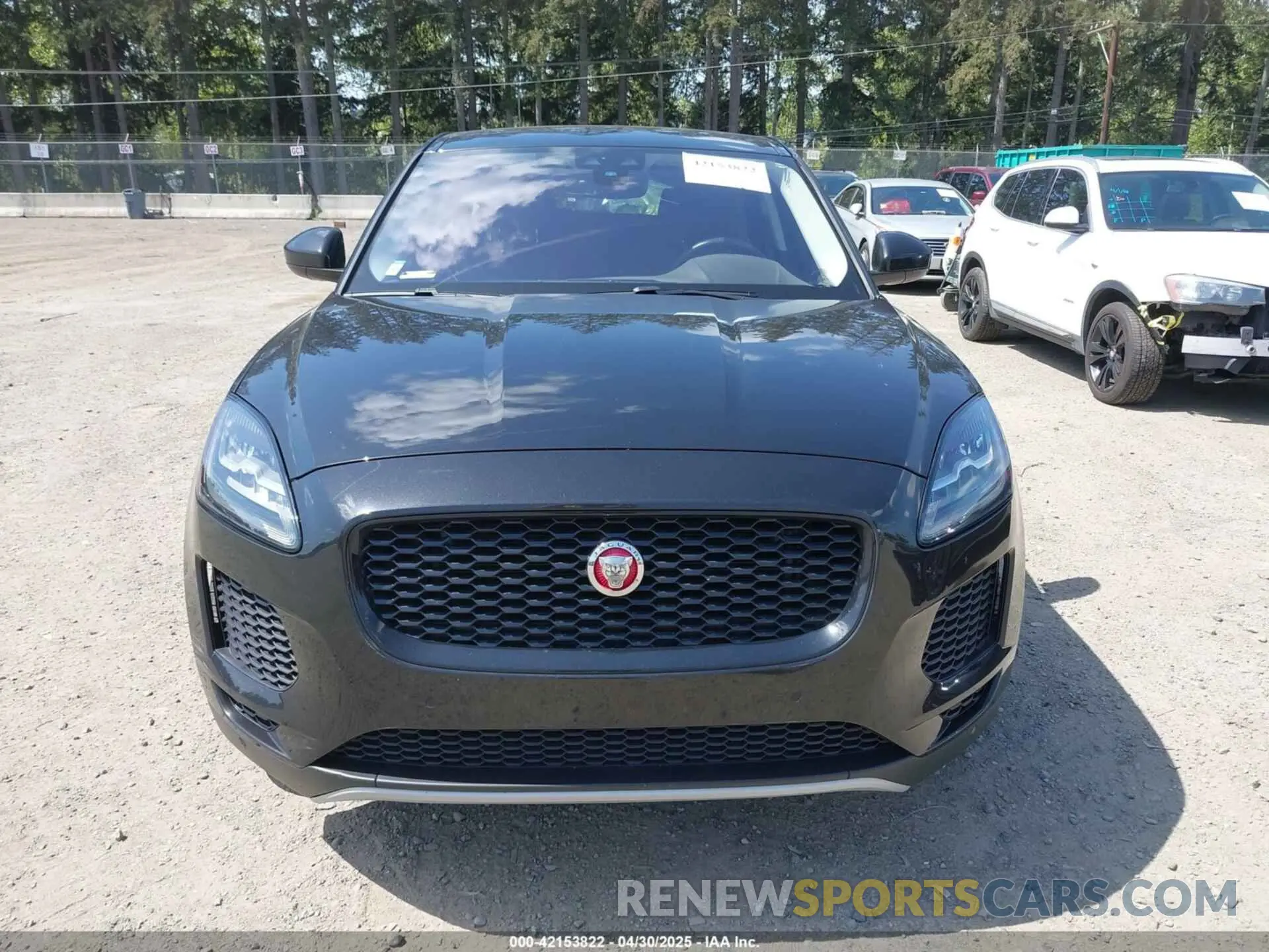 12 Photograph of a damaged car SADFP2FX2K1Z47628 JAGUAR E-PACE 2019