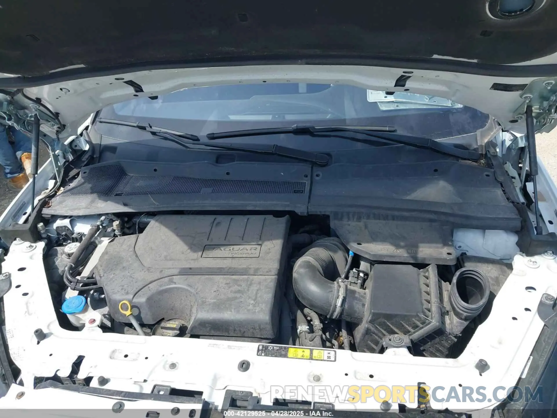 10 Photograph of a damaged car SADFT2GX3K1Z38141 JAGUAR E-PACE 2019