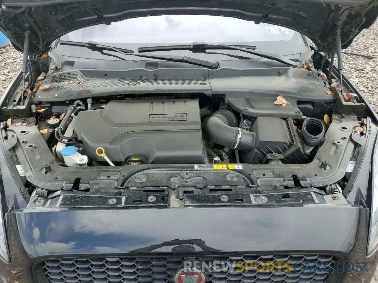 13 Photograph of a damaged car SADFP2FX3K1Z66639 JAGUAR ETYPE 2019