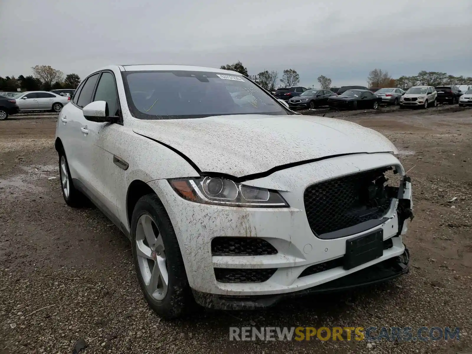 1 Photograph of a damaged car SADCJ2FX3KA601687 JAGUAR F-PACE 2019