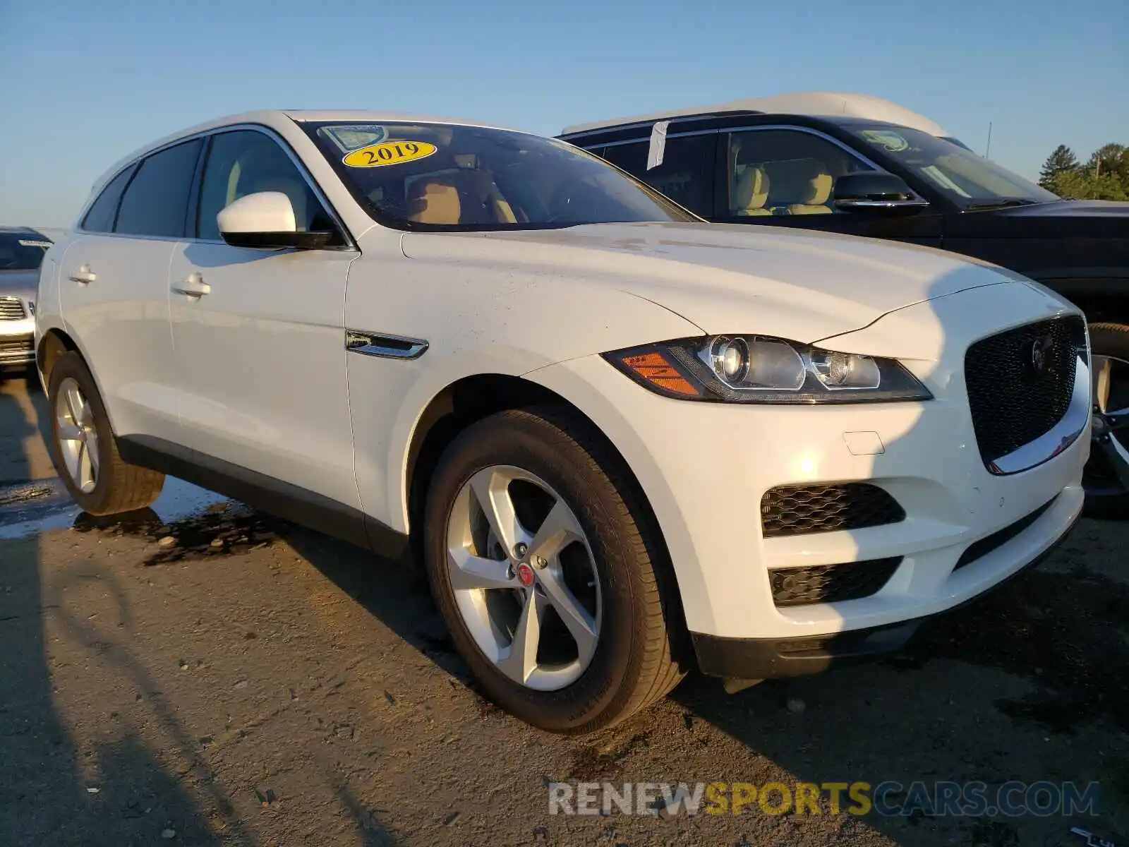 1 Photograph of a damaged car SADCJ2FX4KA357645 JAGUAR F-PACE 2019