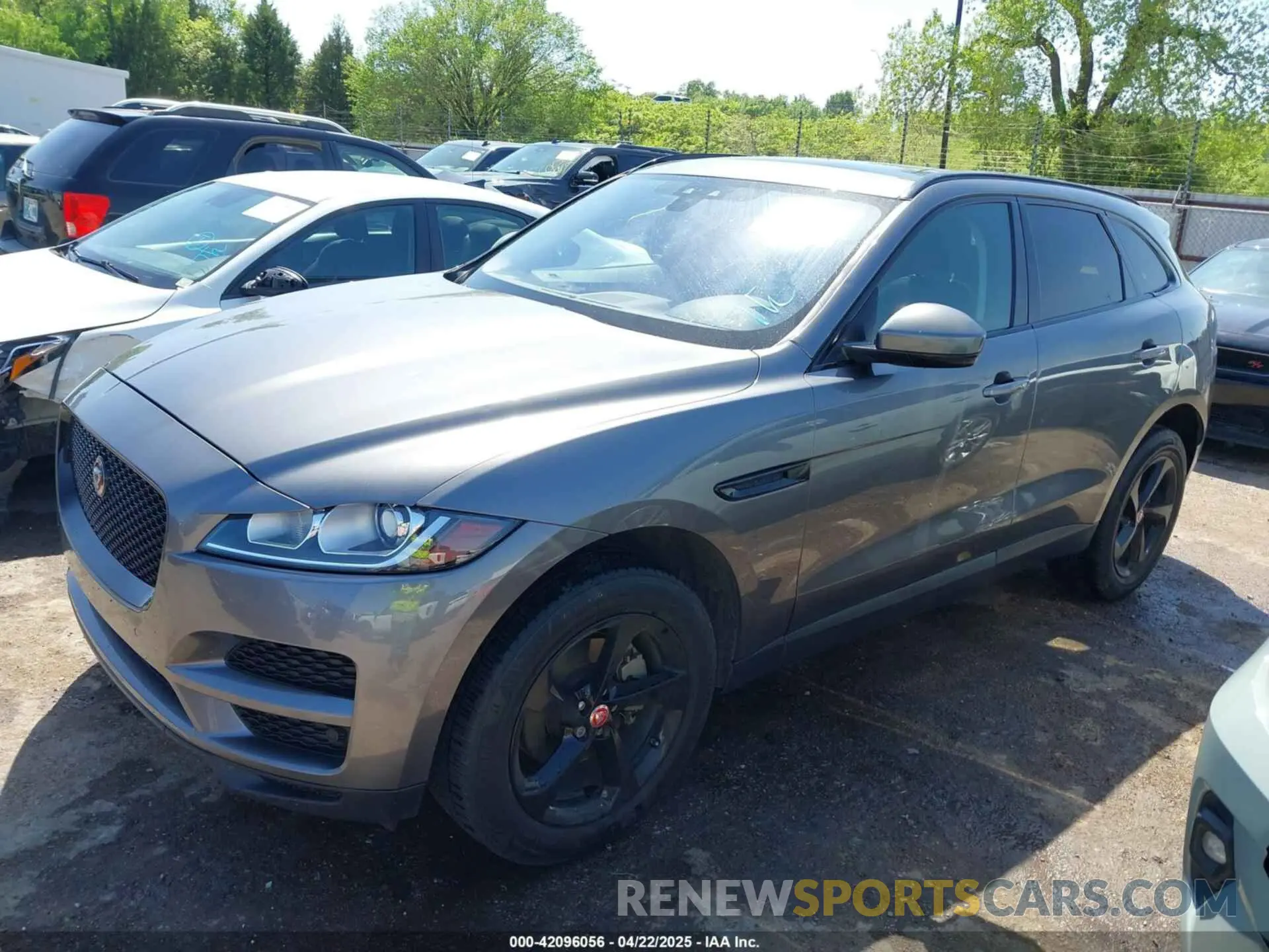 14 Photograph of a damaged car SADCJ2FX4KA395439 JAGUAR F-PACE 2019