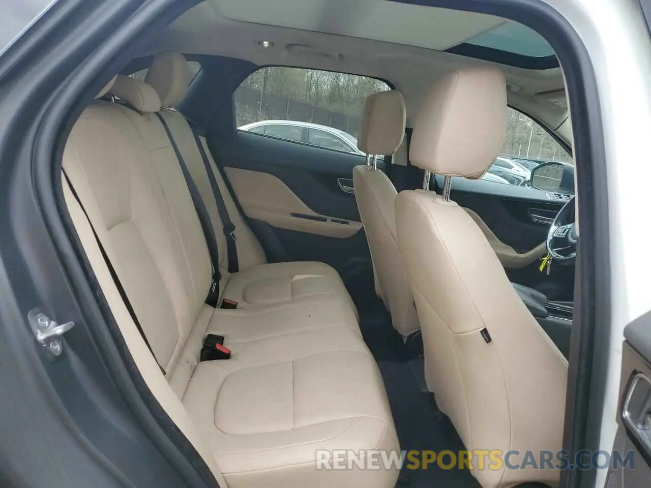 11 Photograph of a damaged car SADCJ2FX8KA366087 JAGUAR F-PACE 2019