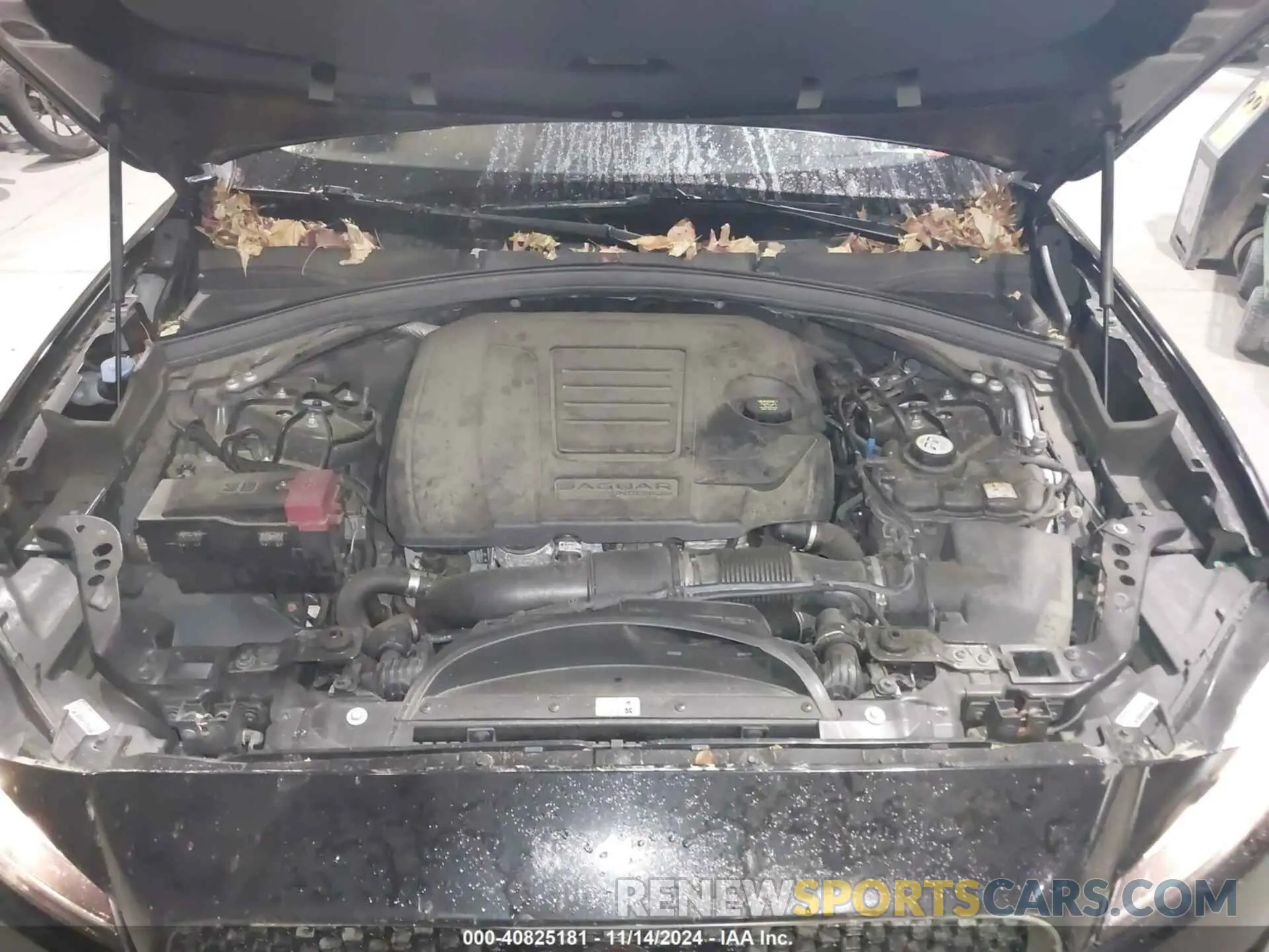 10 Photograph of a damaged car SADCJ2FX8KA397341 JAGUAR F-PACE 2019