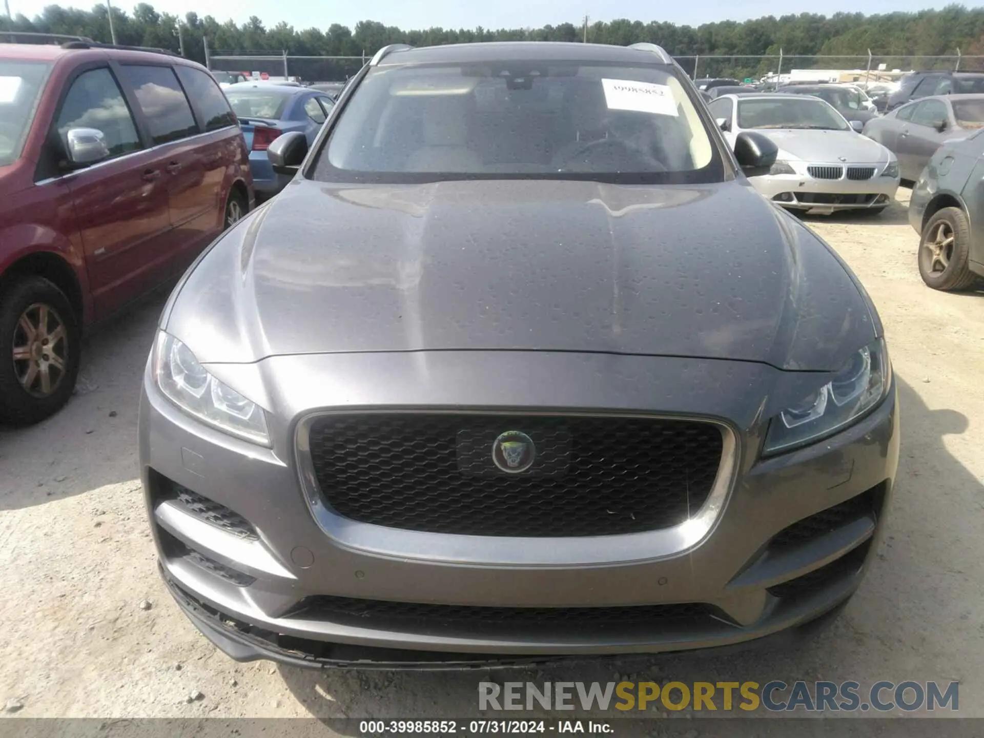 12 Photograph of a damaged car SADCJ2FXXKA610855 JAGUAR F-PACE 2019