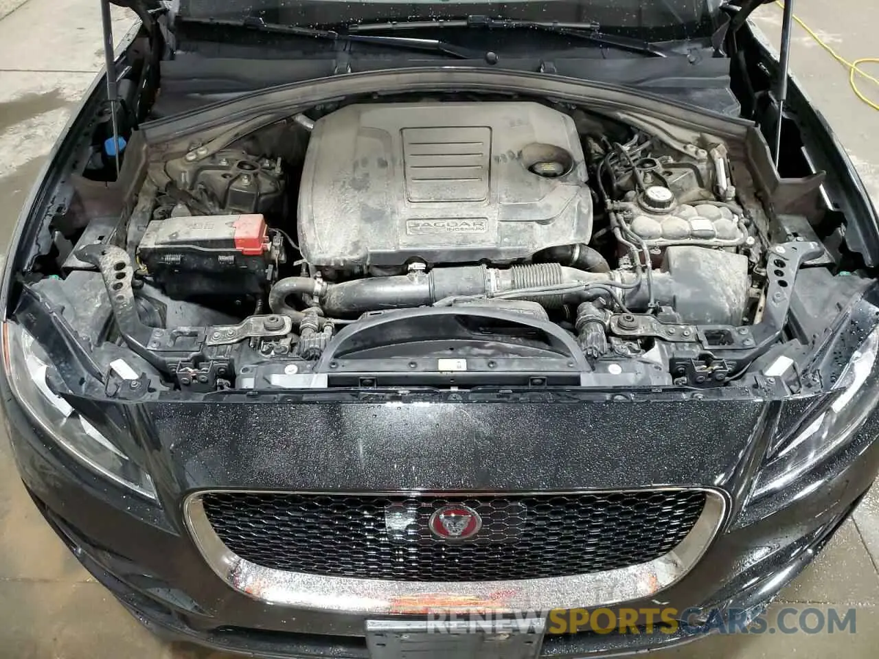 13 Photograph of a damaged car SADCK2FX0KA352021 JAGUAR F-PACE 2019