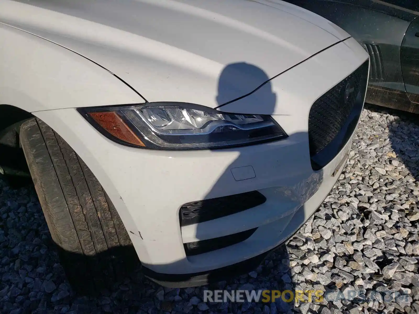 9 Photograph of a damaged car SADCK2FX5KA601574 JAGUAR F-PACE 2019