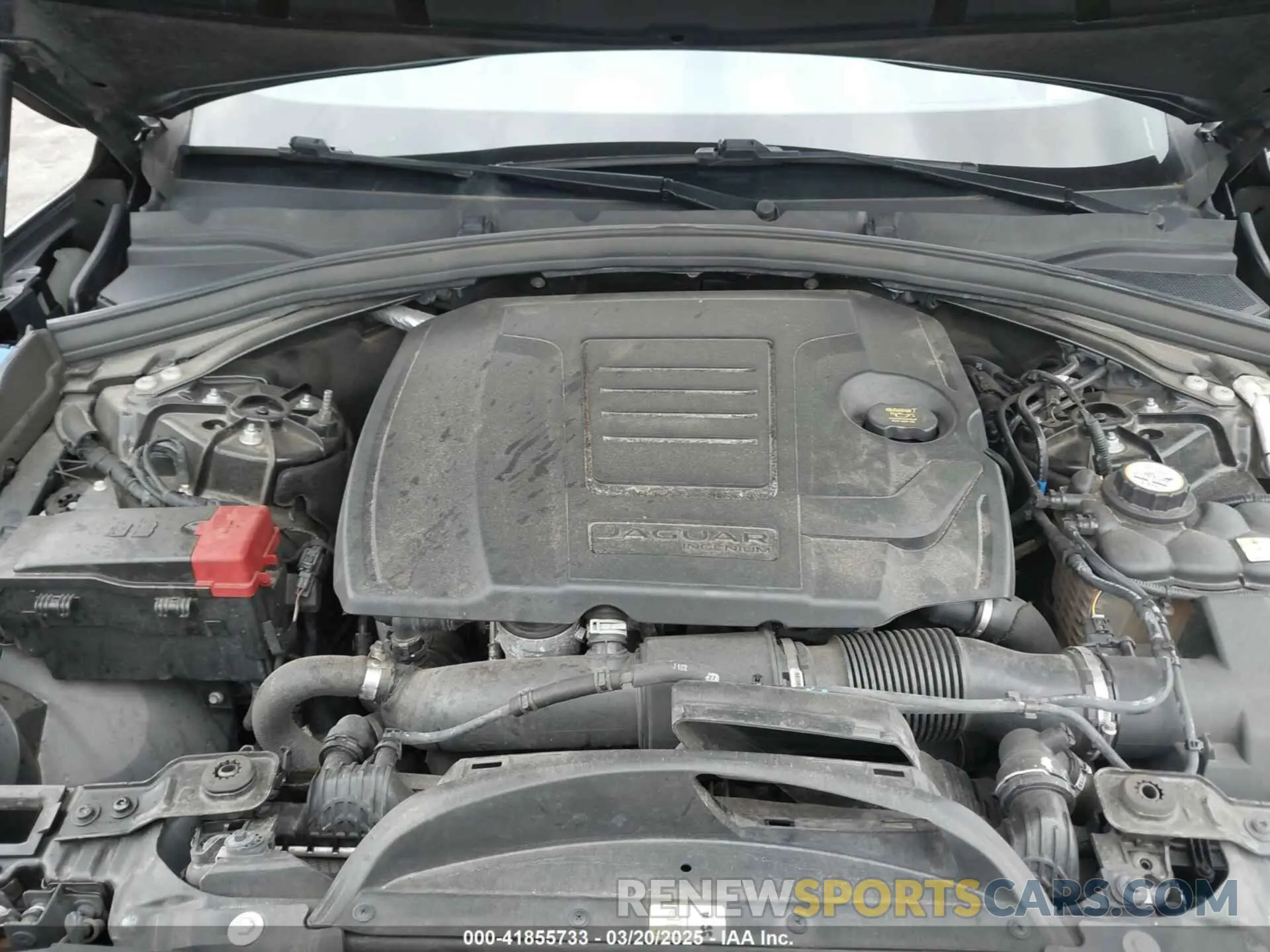 10 Photograph of a damaged car SADCK2FX7KA395593 JAGUAR F-PACE 2019