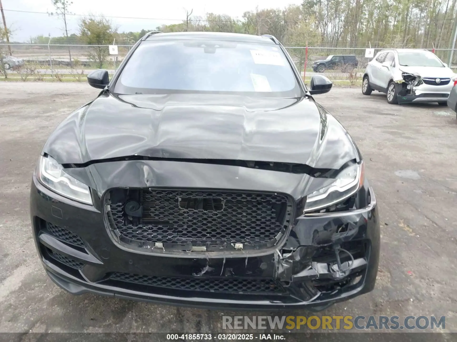 12 Photograph of a damaged car SADCK2FX7KA395593 JAGUAR F-PACE 2019