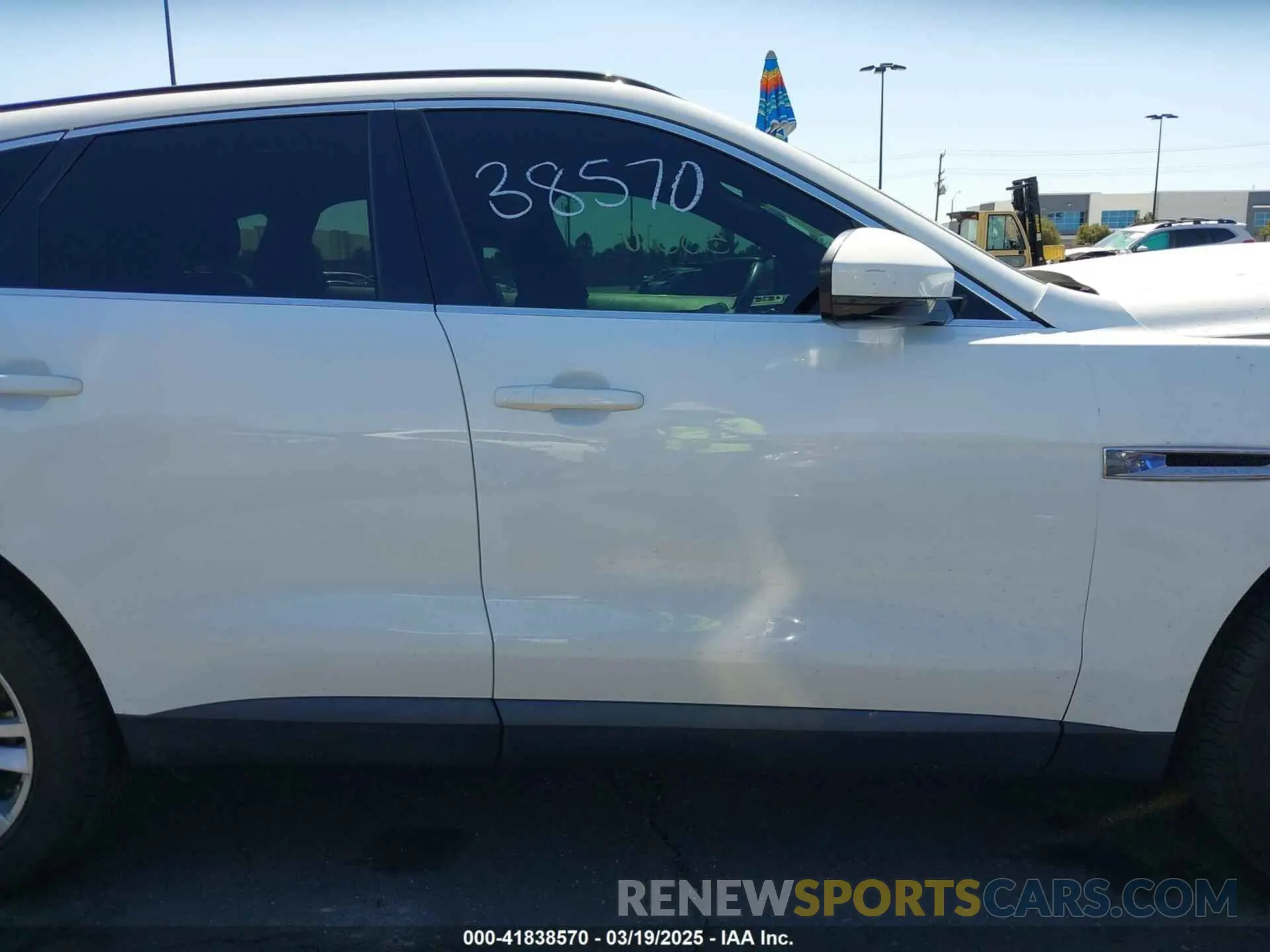 13 Photograph of a damaged car SADCK2FX9KA356228 JAGUAR F-PACE 2019