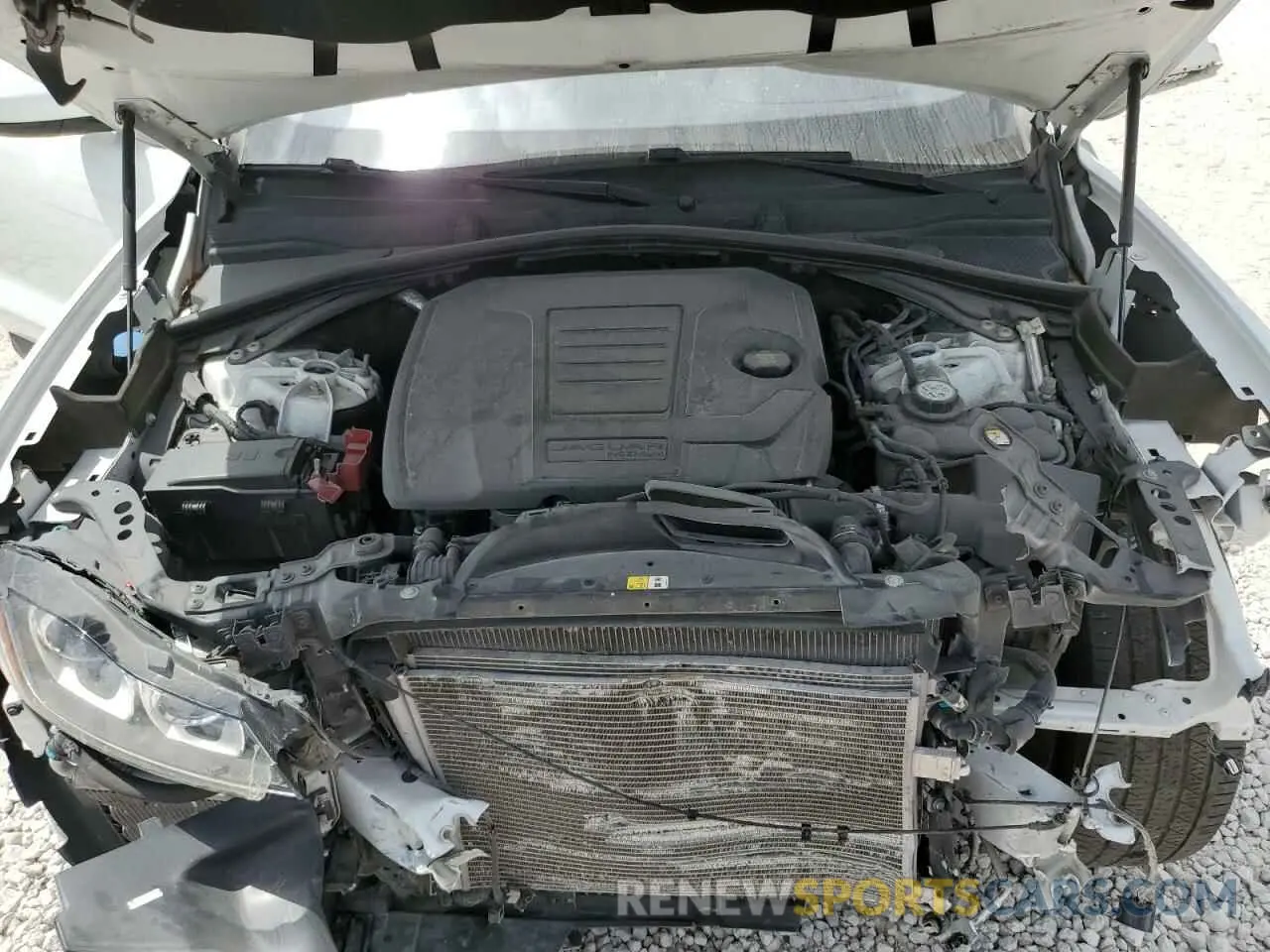 12 Photograph of a damaged car SADCK2FXXKA353600 JAGUAR F-PACE 2019