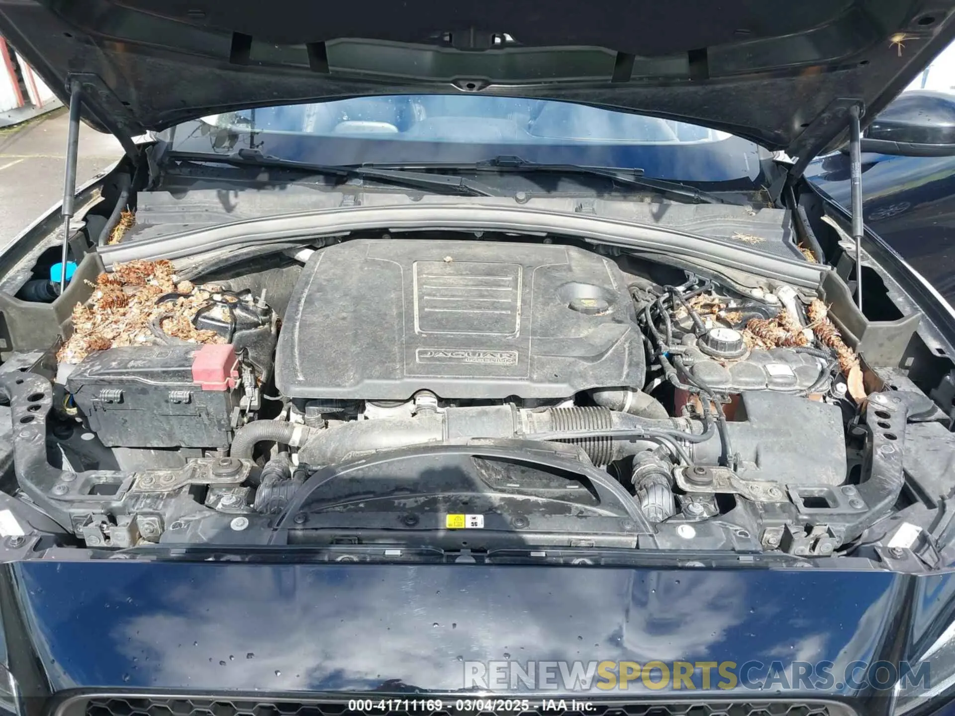 10 Photograph of a damaged car SADCK2GX1KA391800 JAGUAR F-PACE 2019