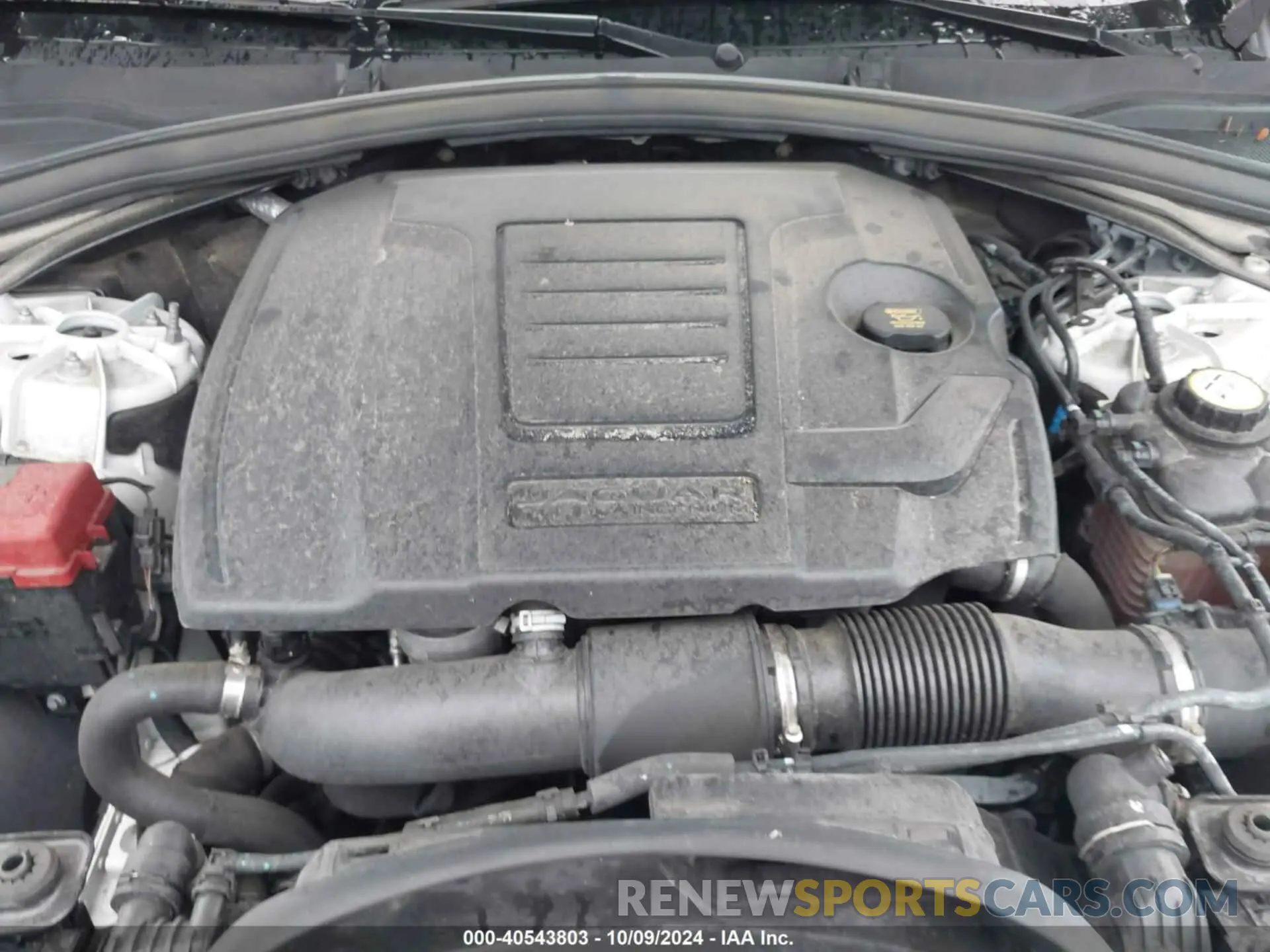 10 Photograph of a damaged car SADCK2GX6KA390884 JAGUAR F-PACE 2019