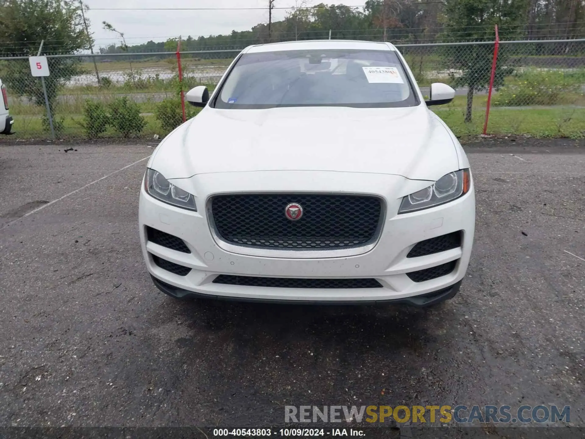 12 Photograph of a damaged car SADCK2GX6KA390884 JAGUAR F-PACE 2019