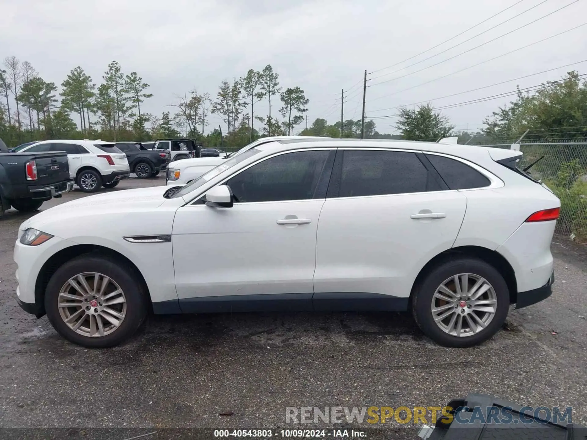 14 Photograph of a damaged car SADCK2GX6KA390884 JAGUAR F-PACE 2019