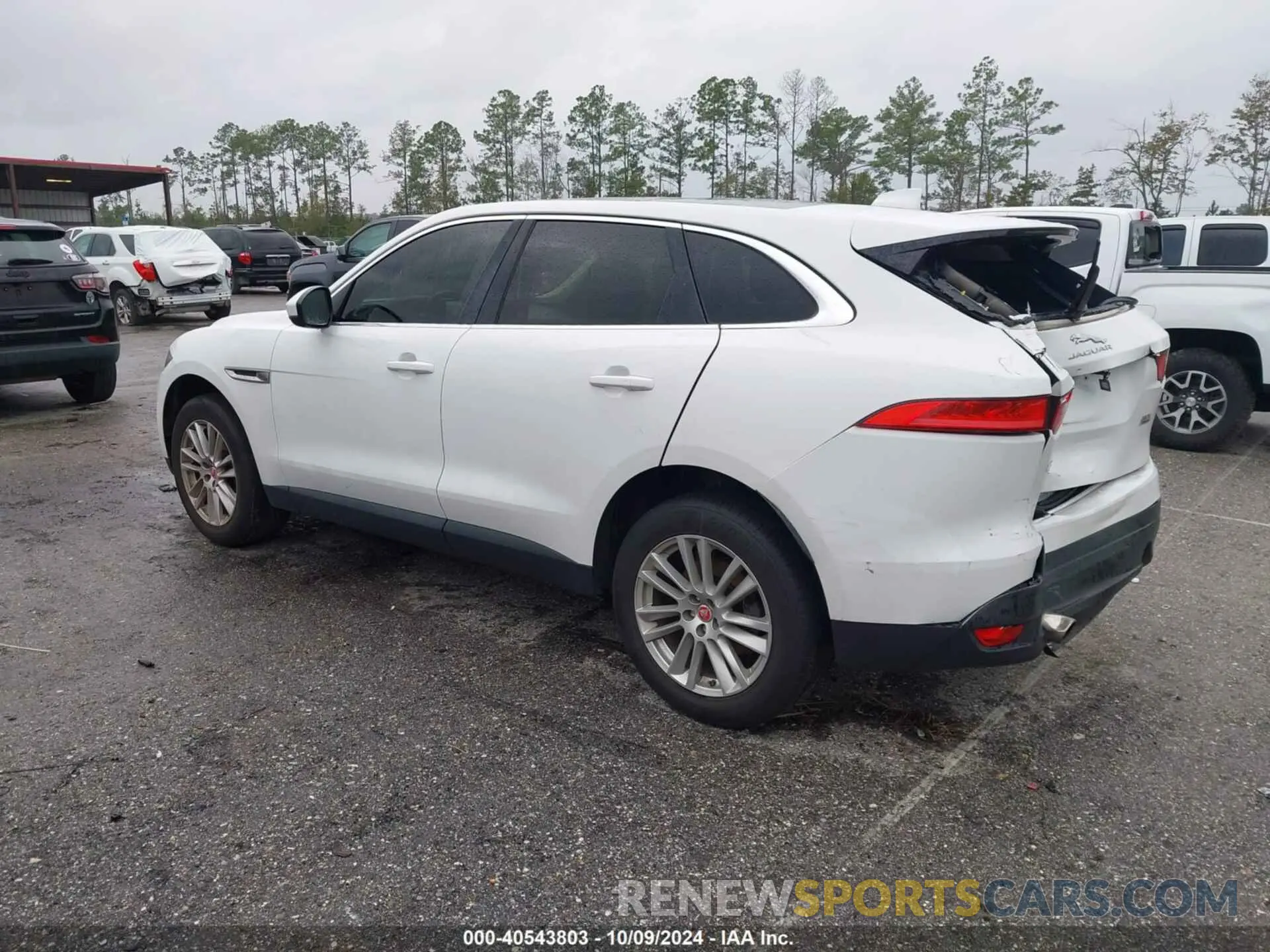 3 Photograph of a damaged car SADCK2GX6KA390884 JAGUAR F-PACE 2019